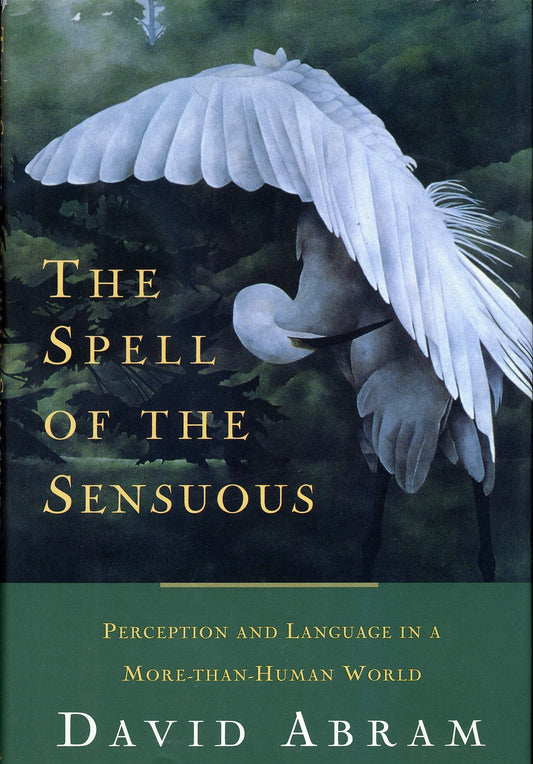 Spell of the Sensuous: Perception and Language in a More-Than-Human World