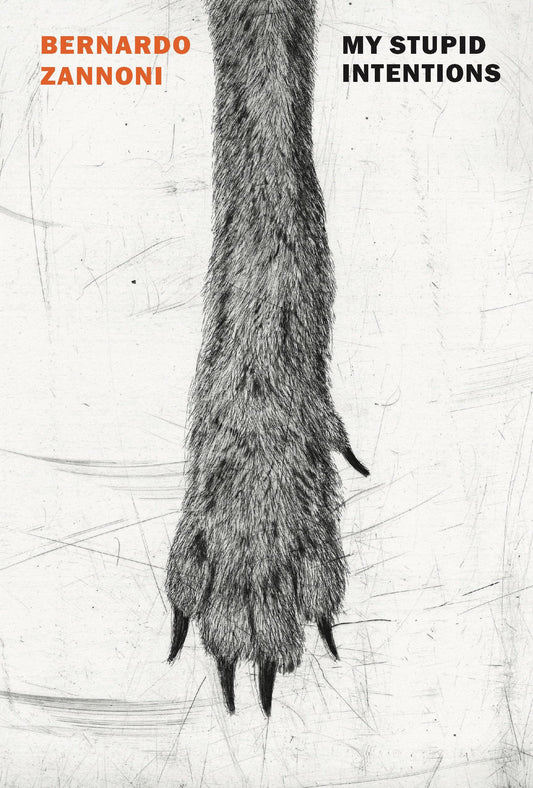 My Stupid Intentions book cover