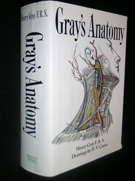 Gray's Anatomy book cover