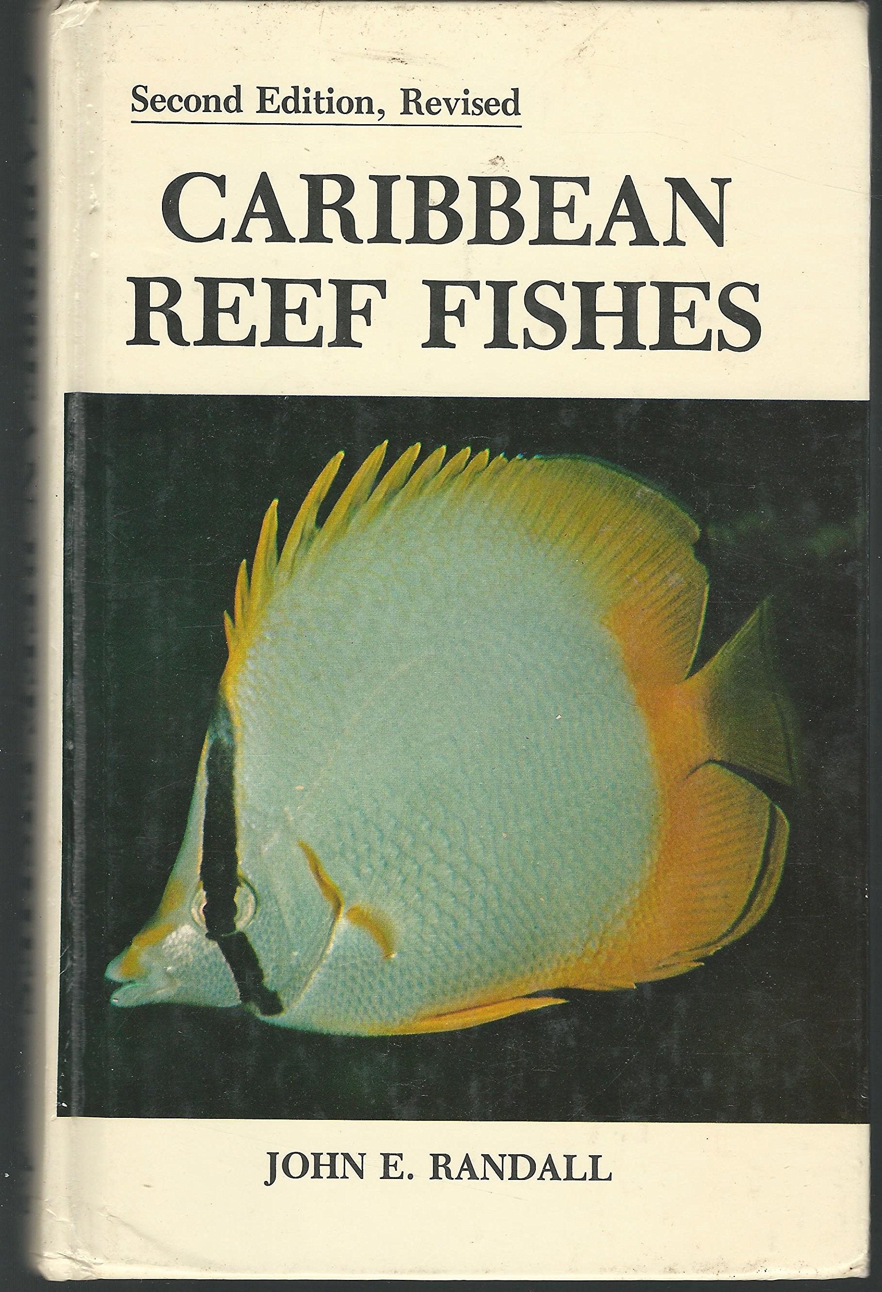 Caribbean Reef Fishes (Rev) book cover