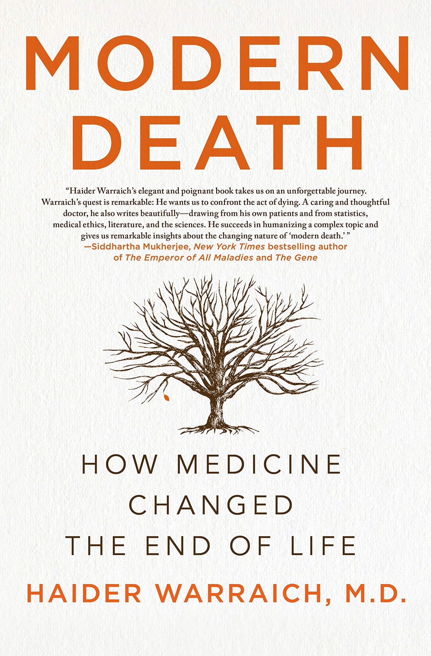 Modern Death: How Medicine Changed the End of Life book cover
