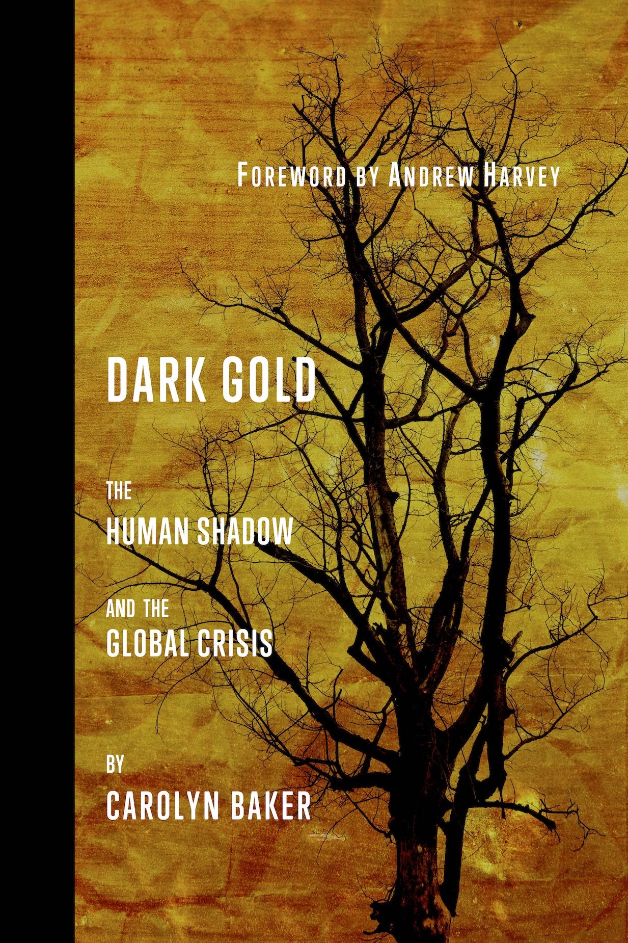 Dark Gold: The Human Shadow and the Global Crisis book cover