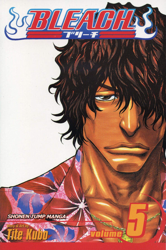 Bleach, Vol. 5 book cover