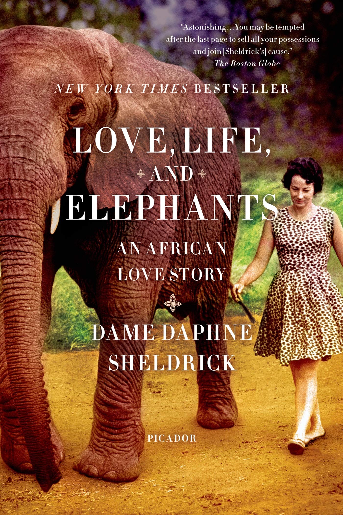 Love, Life, and Elephants: An African Love Story book cover