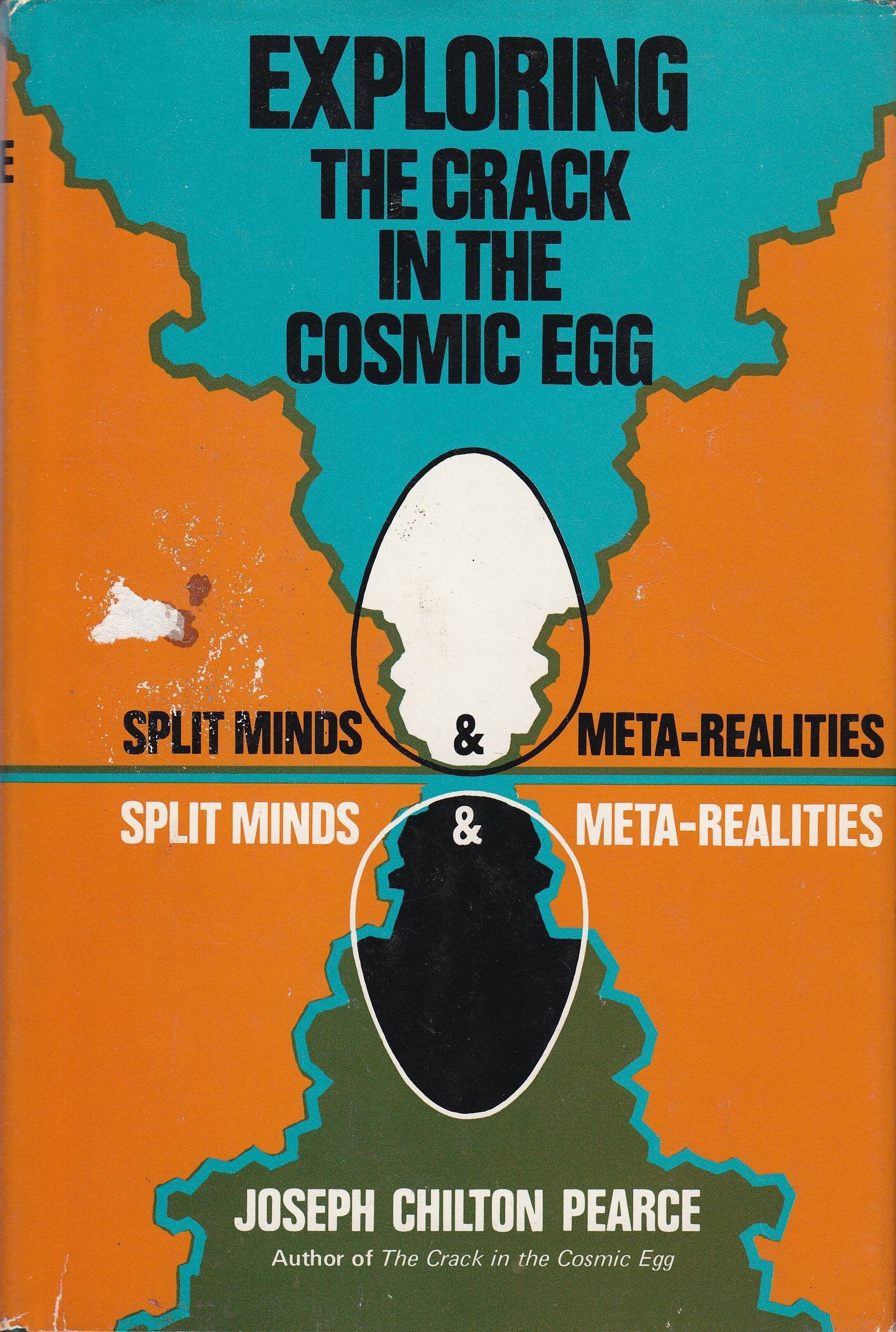 Exploring the Crack in the Cosmic Egg: Split Minds and Meta-Realities book cover