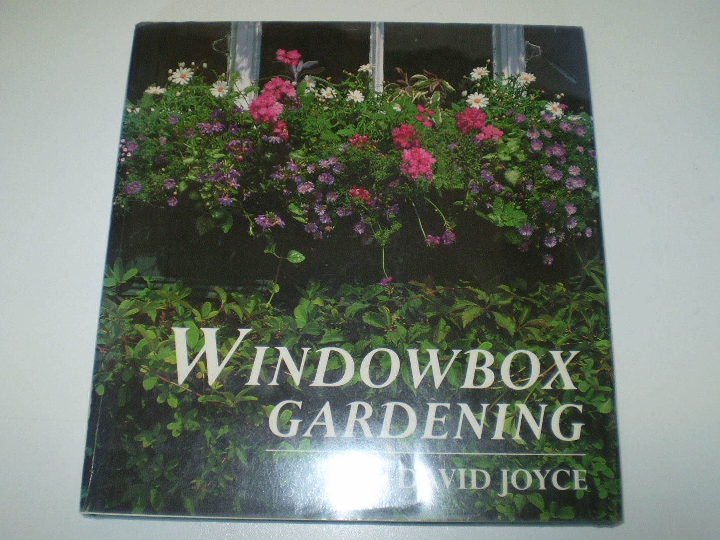 Windowbox Gardening (American)