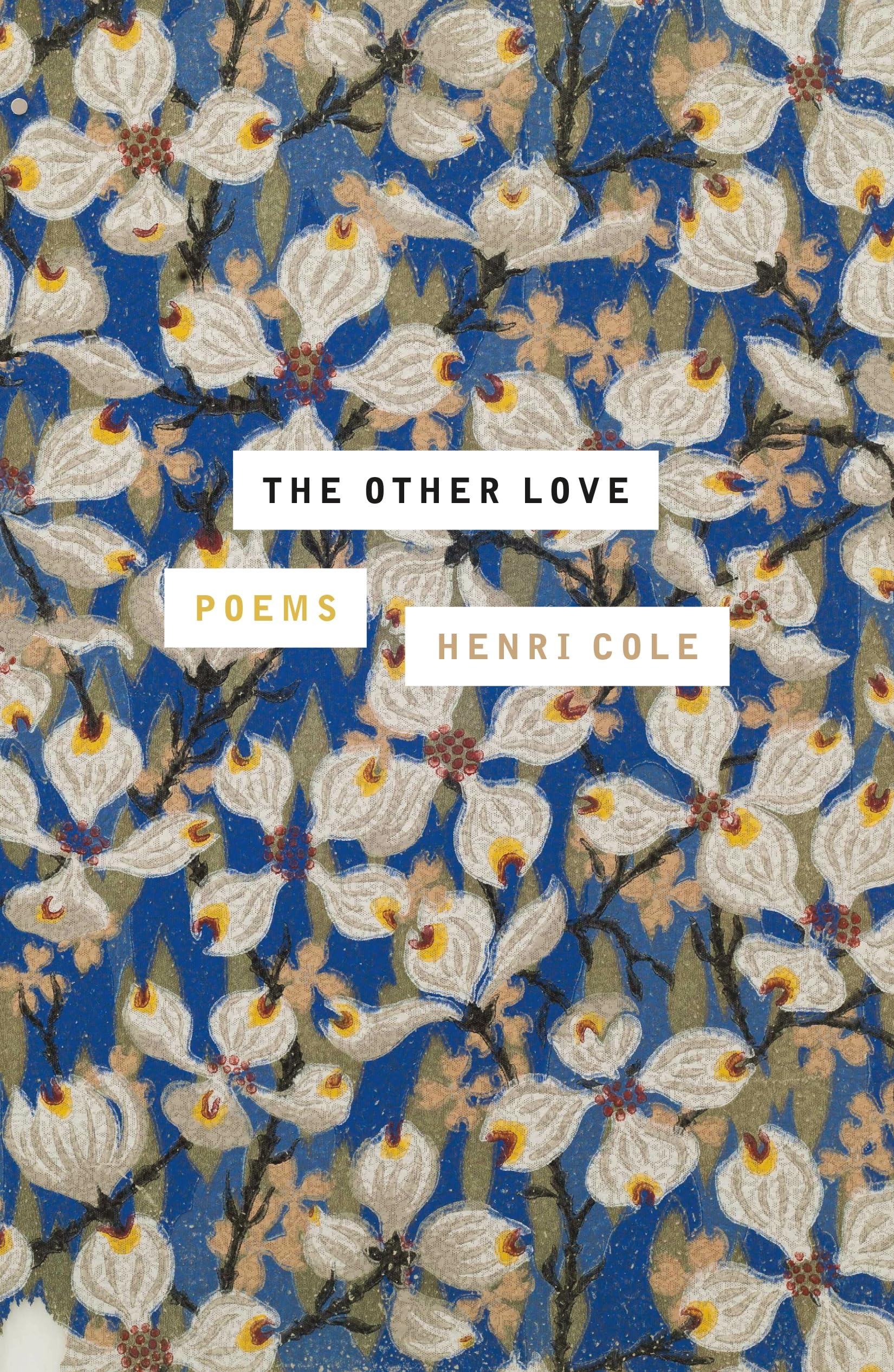 The Other Love book cover