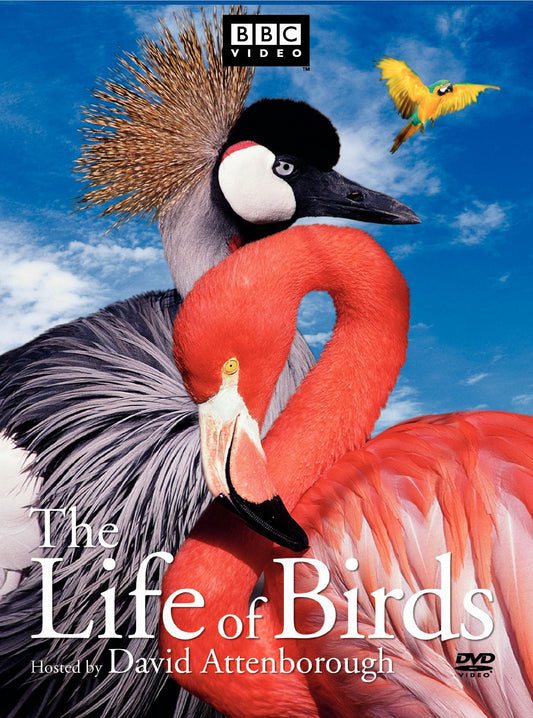 The Life of Birds