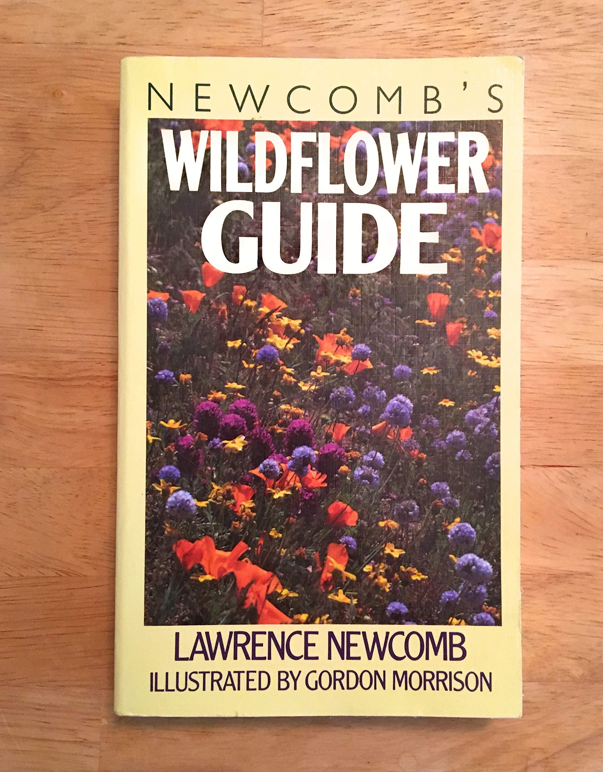 Newcomb's Wildflower Guide: An Ingenious New Key System for Quick, Positive Field Identification of the Wildflowers, Flowering Shrubs and Vines of book cover