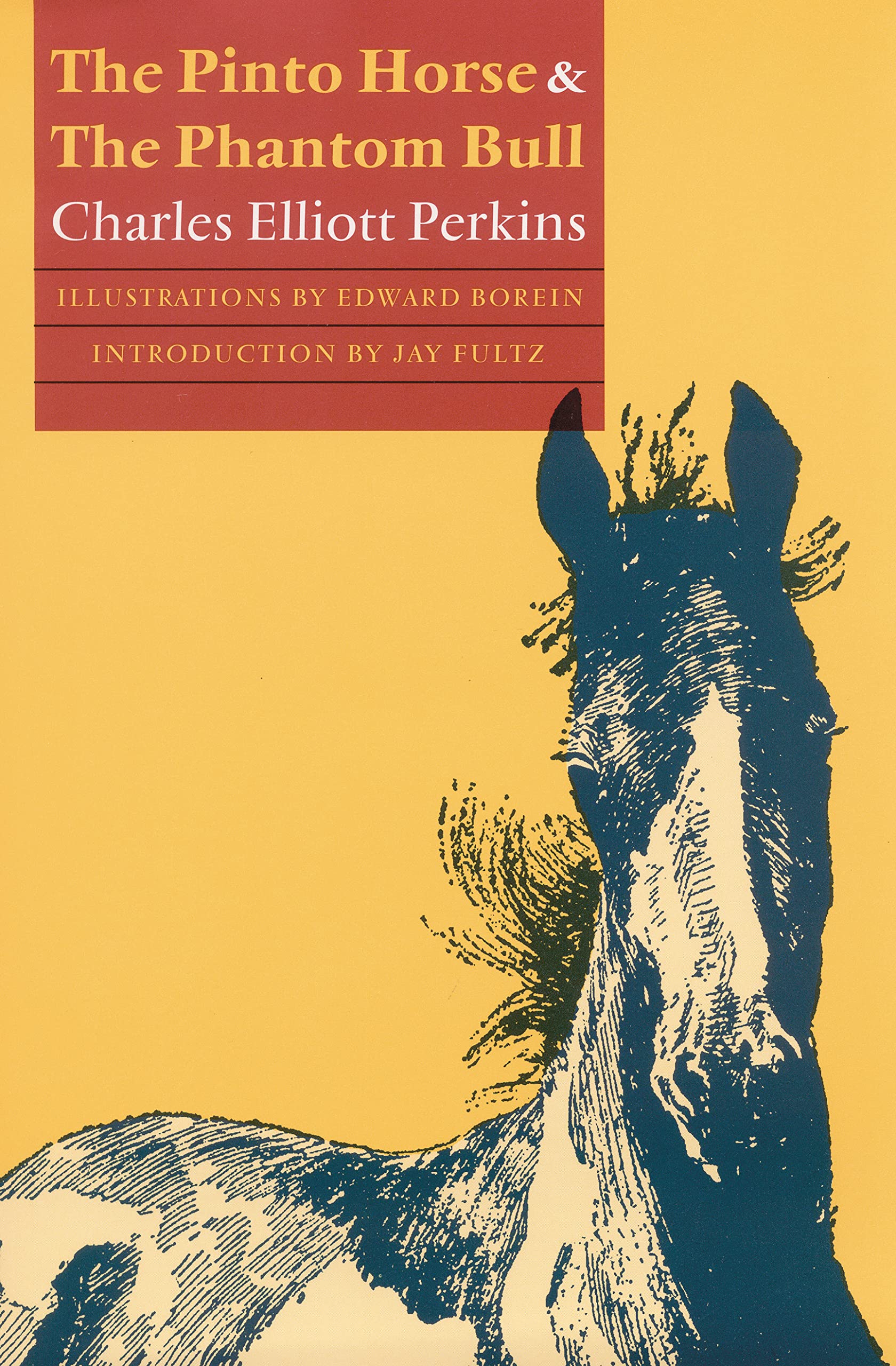 Pinto Horse and the Phantom Bull book cover