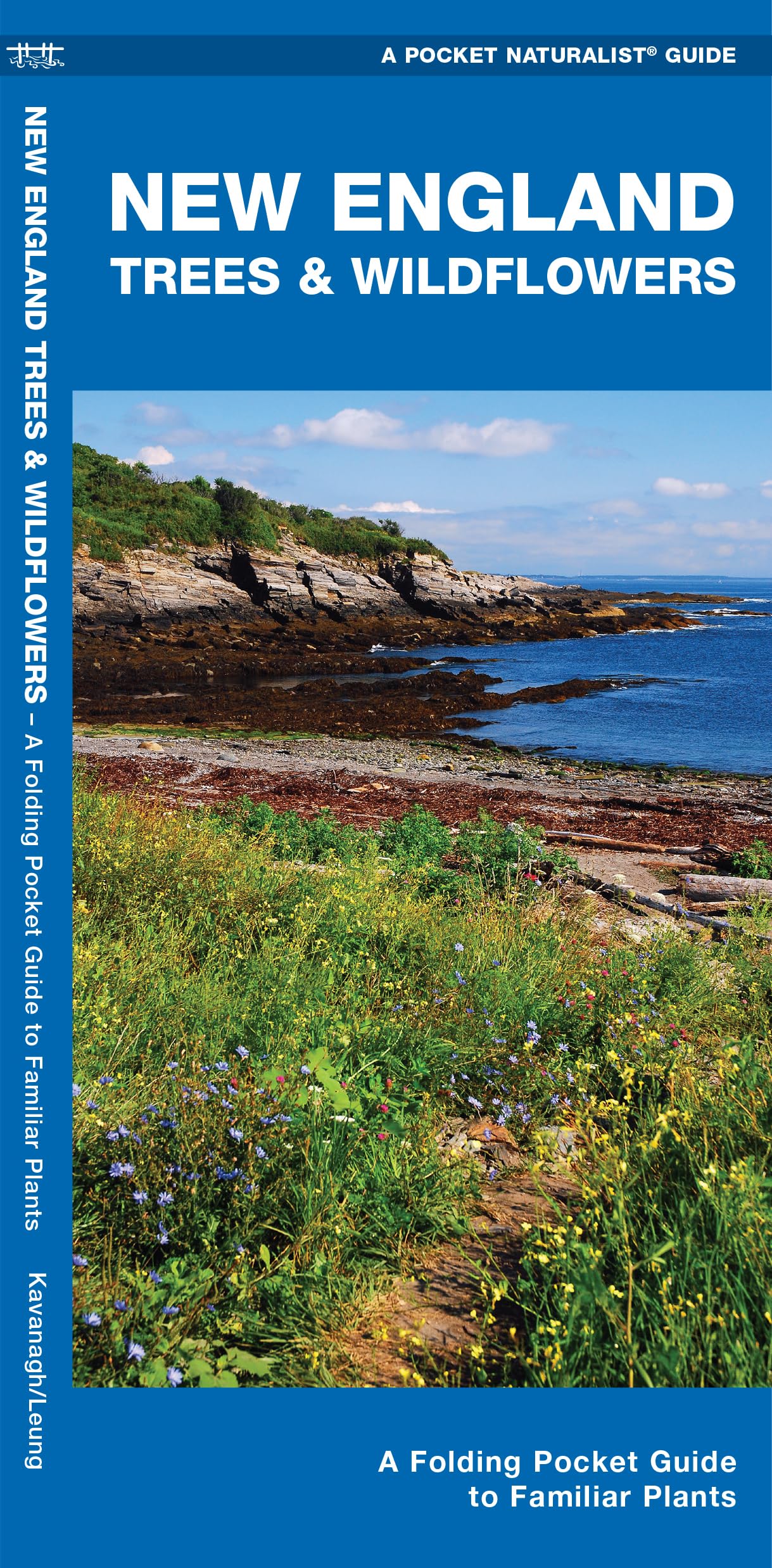 New England Trees & Wildflowers: A Folding Pocket Guide to Familiar Plants