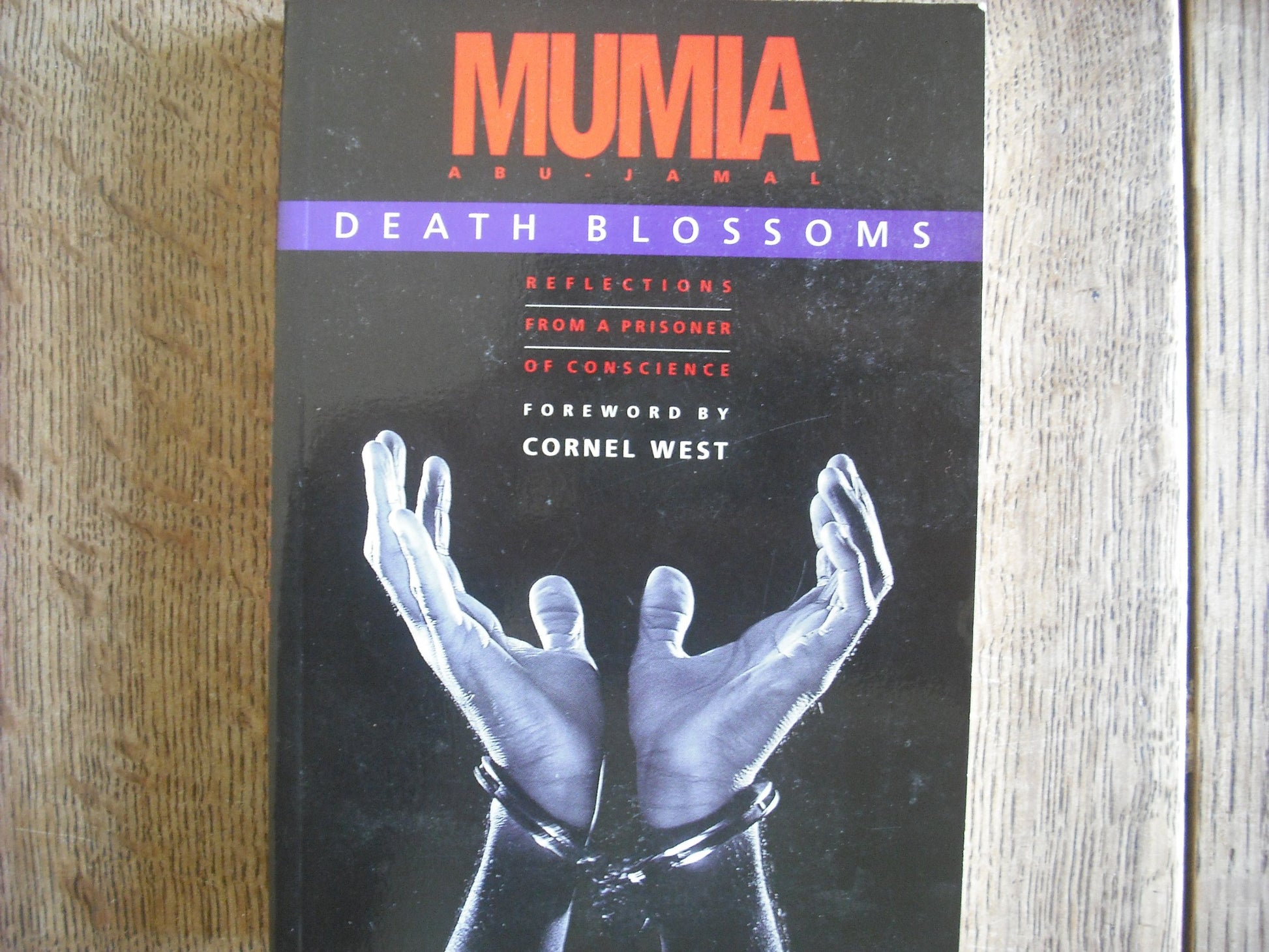 Death Blossoms: Reflections from a Prisoner of Conscience book cover