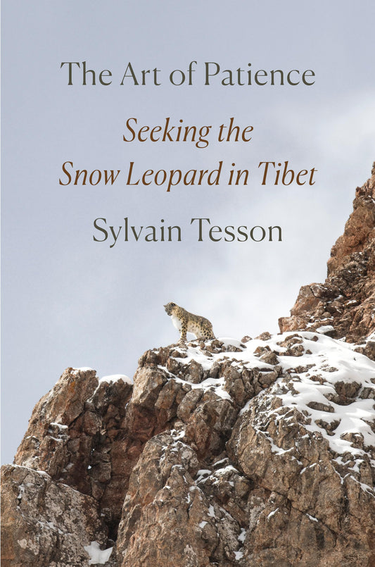 Art of Patience: Seeking the Snow Leopard in Tibet