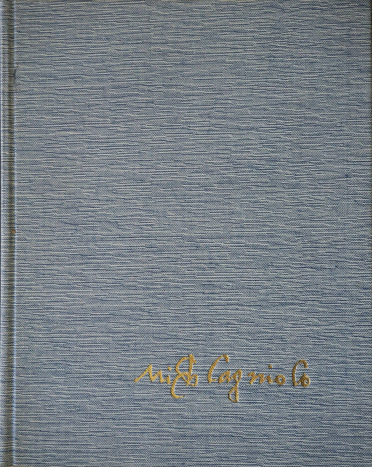 Michelangelo, Paintings, Sculptures, ARC book cover