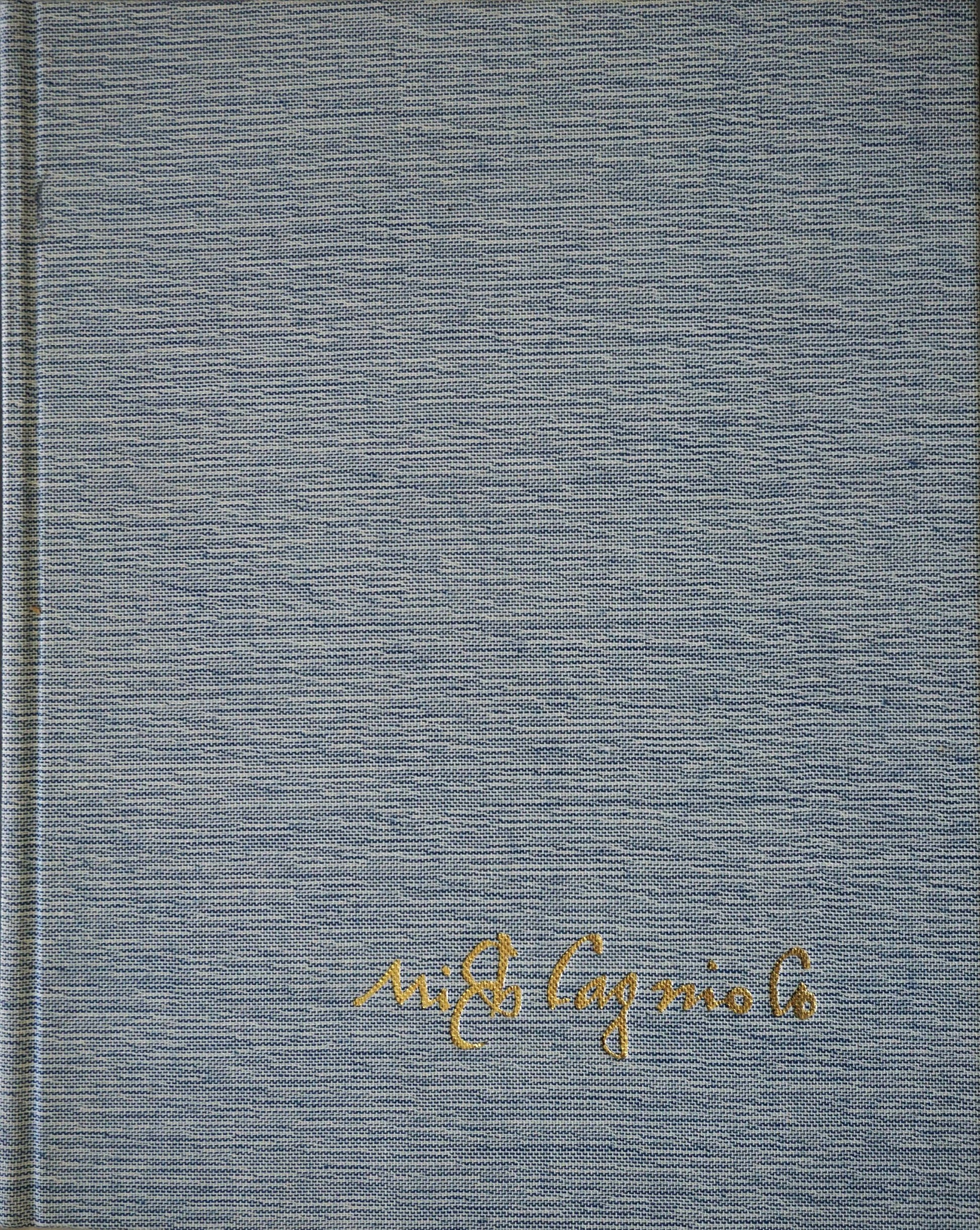 Michelangelo, Paintings, Sculptures, ARC book cover
