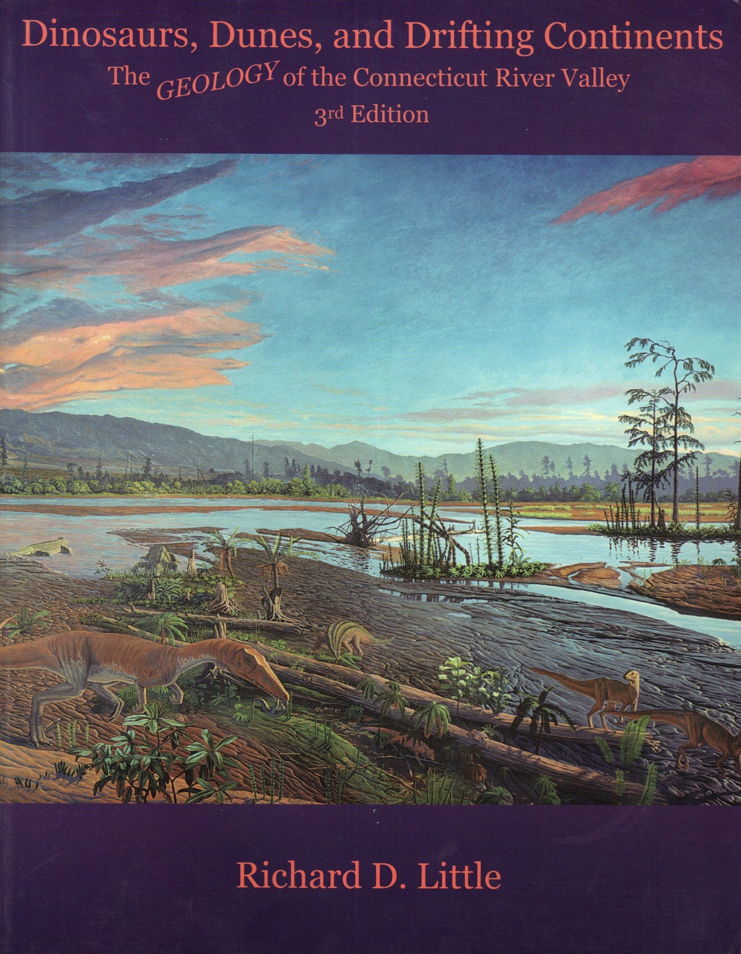 Dinosaurs, Dunes, and Drifting Continents: The Geology of the Connecticut River Valley book cover