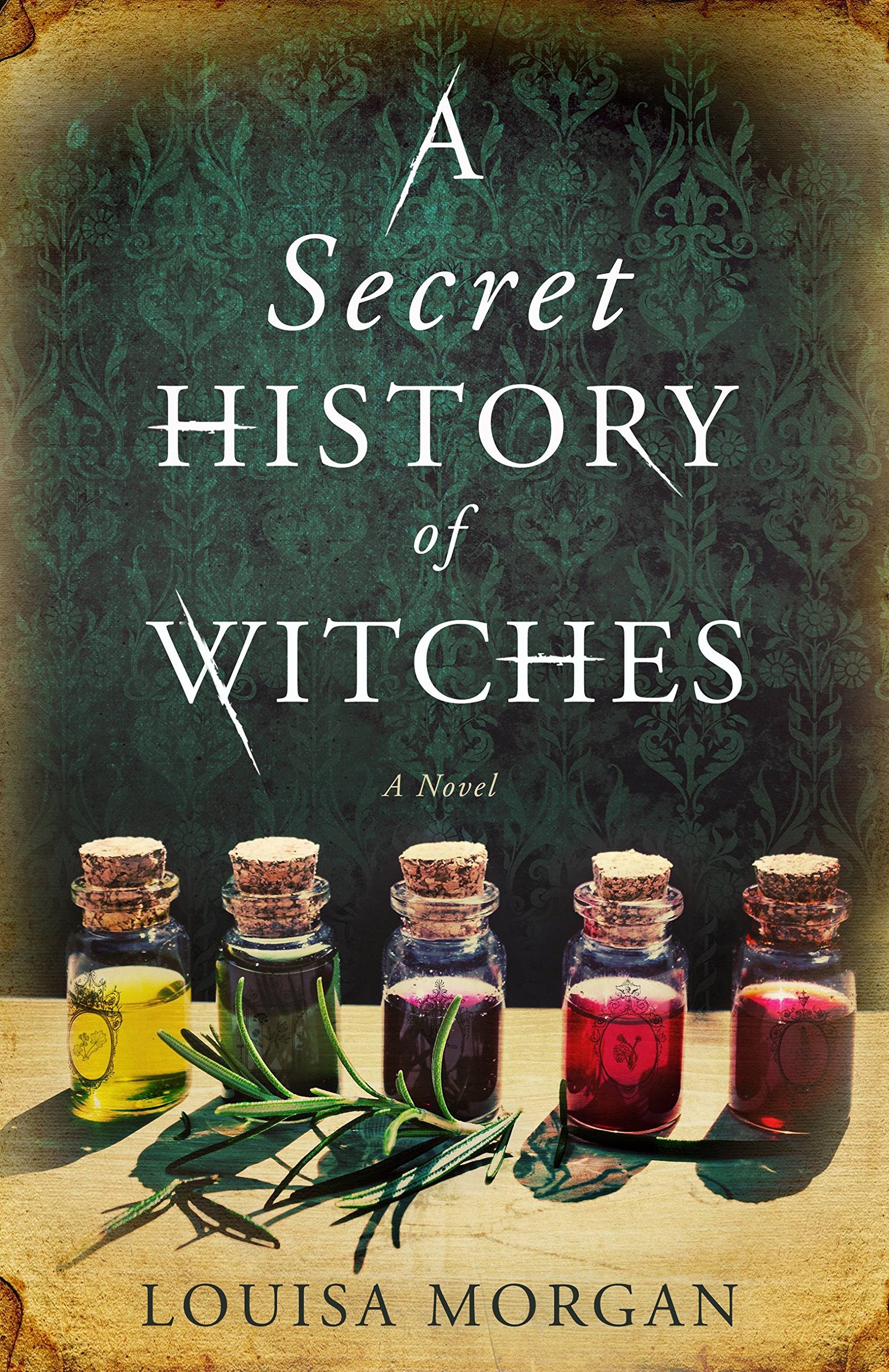 Secret History of Witches book cover