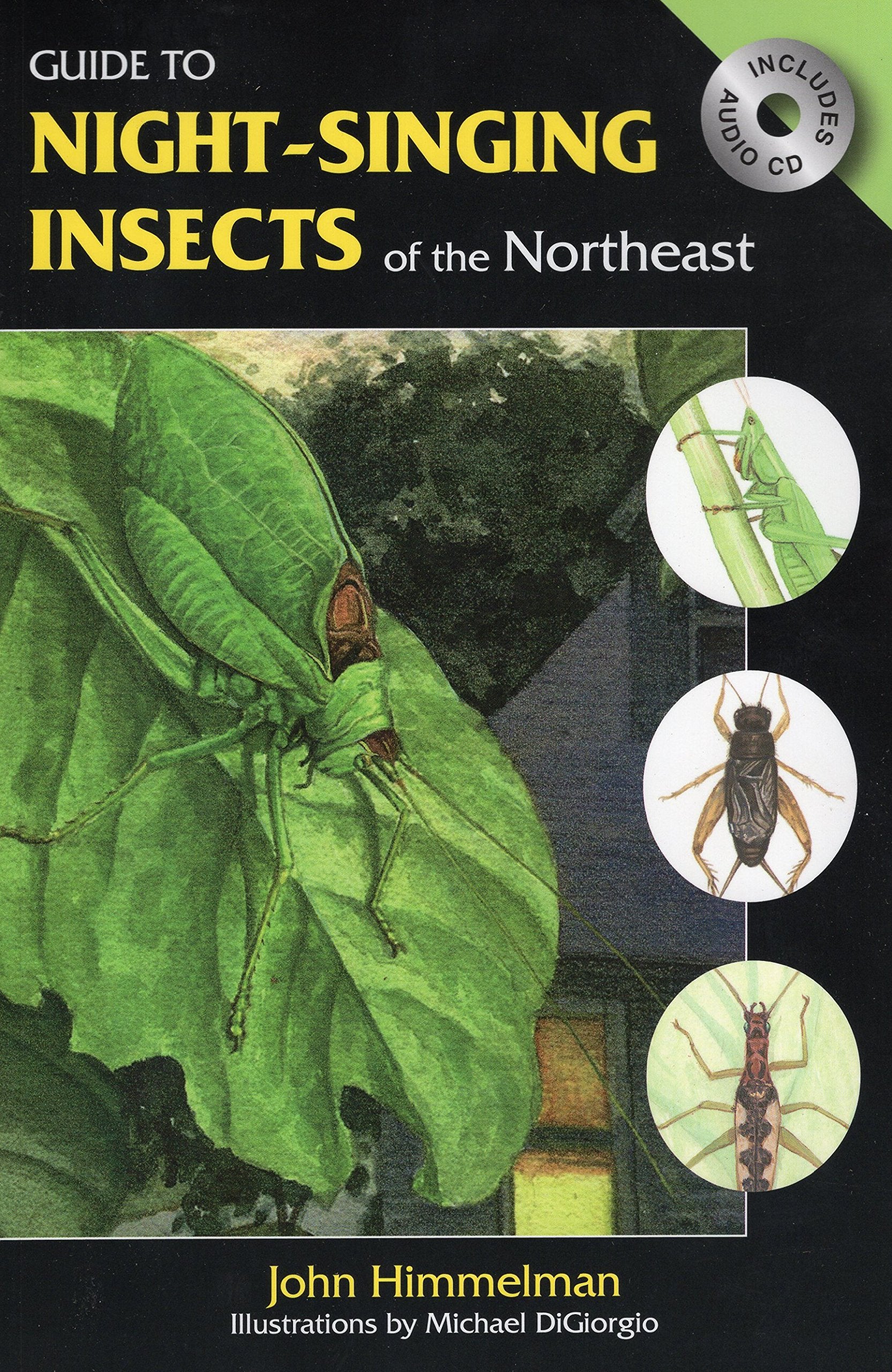 Guide to Night-Singing Insects of the Northeast [With CD (Audio)] book cover