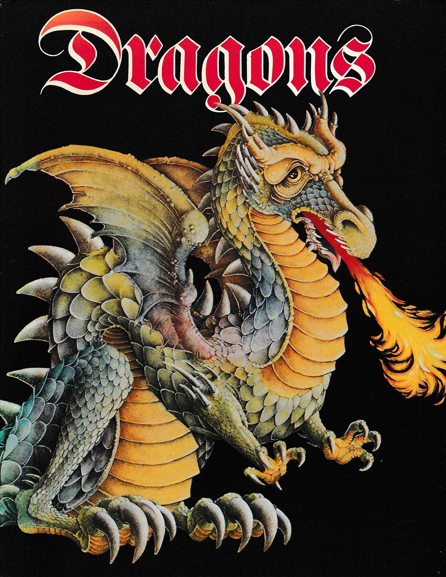 Dragons book cover