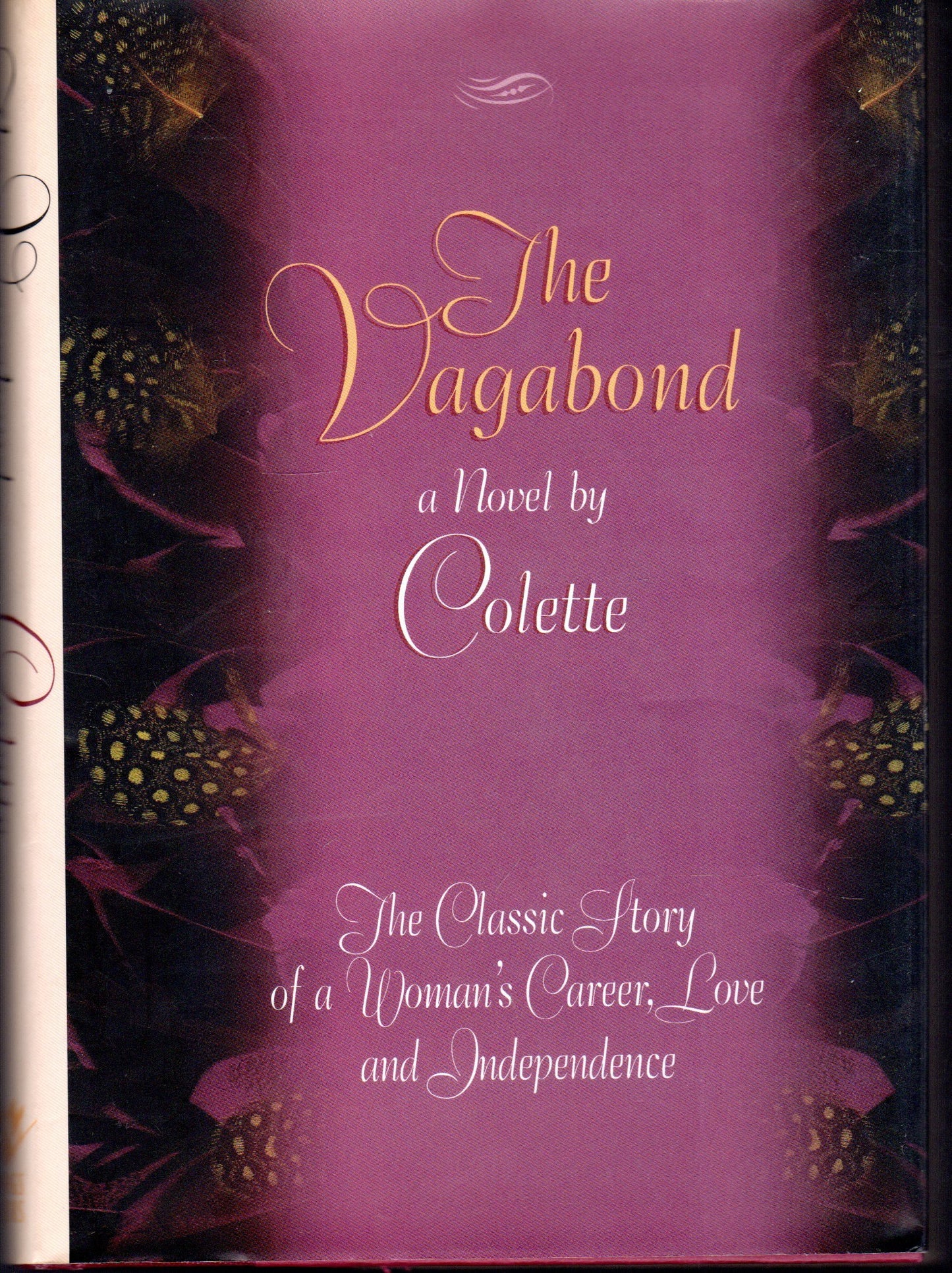 The Vagabond book cover