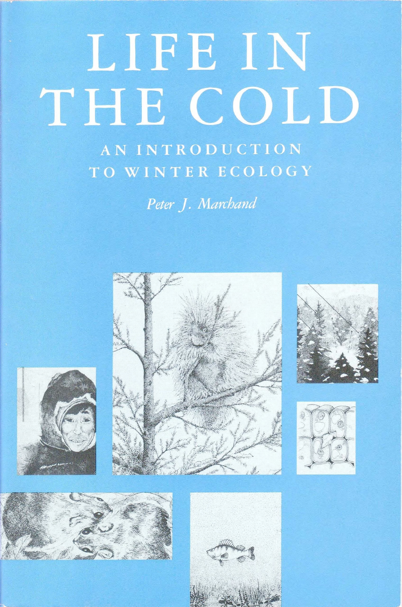 Life in the Cold book cover