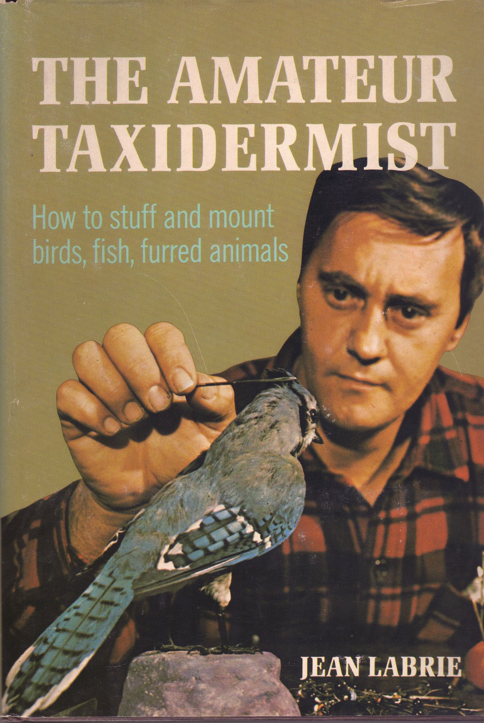 The Amateur Taxidermist; A Step-By-Step Illustrated Handbook on How to Stuff and Preserve Birds, Fish, and Furred Animals. book cover