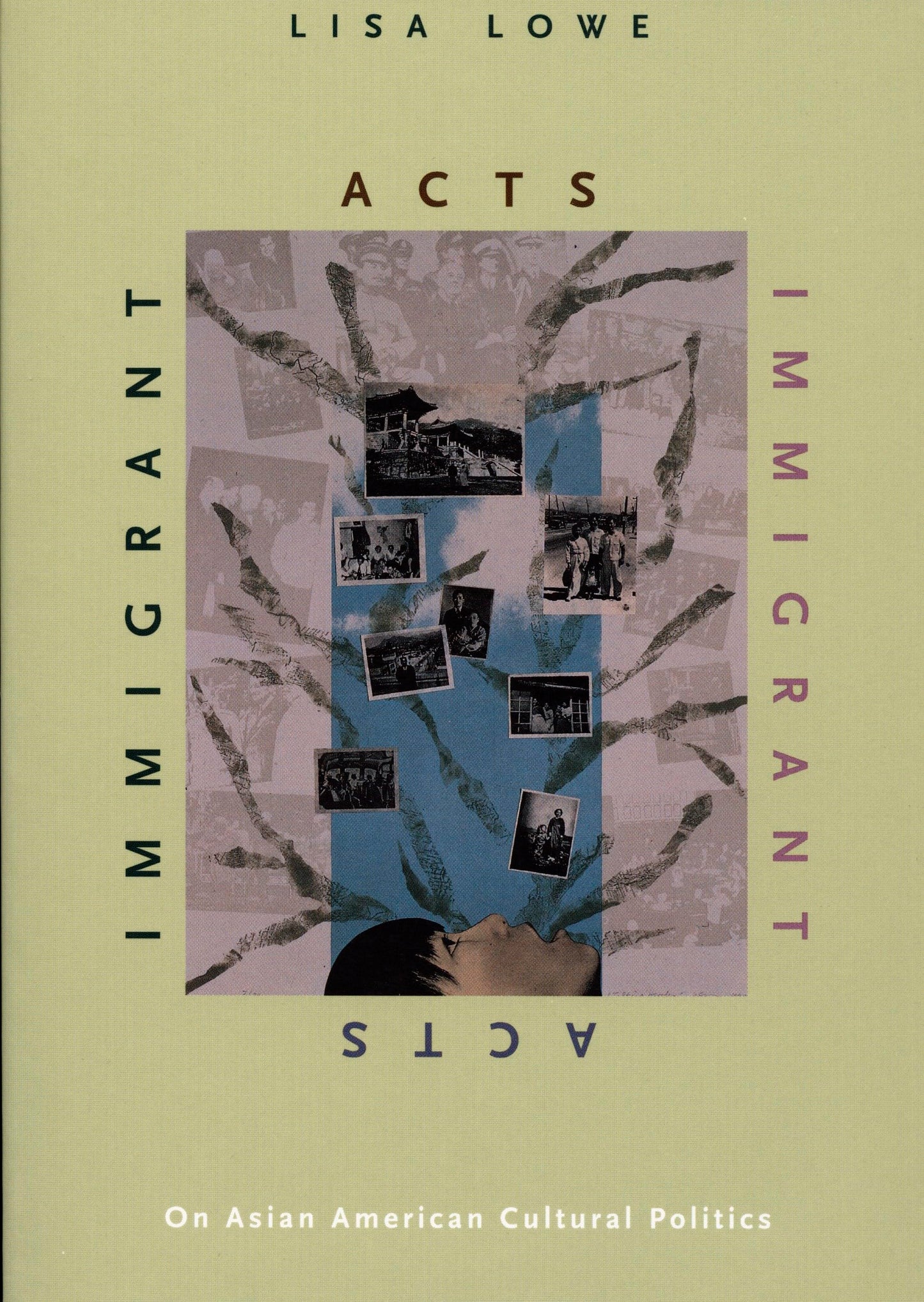 Immigrant Acts: On Asian American Cultural Politics book cover