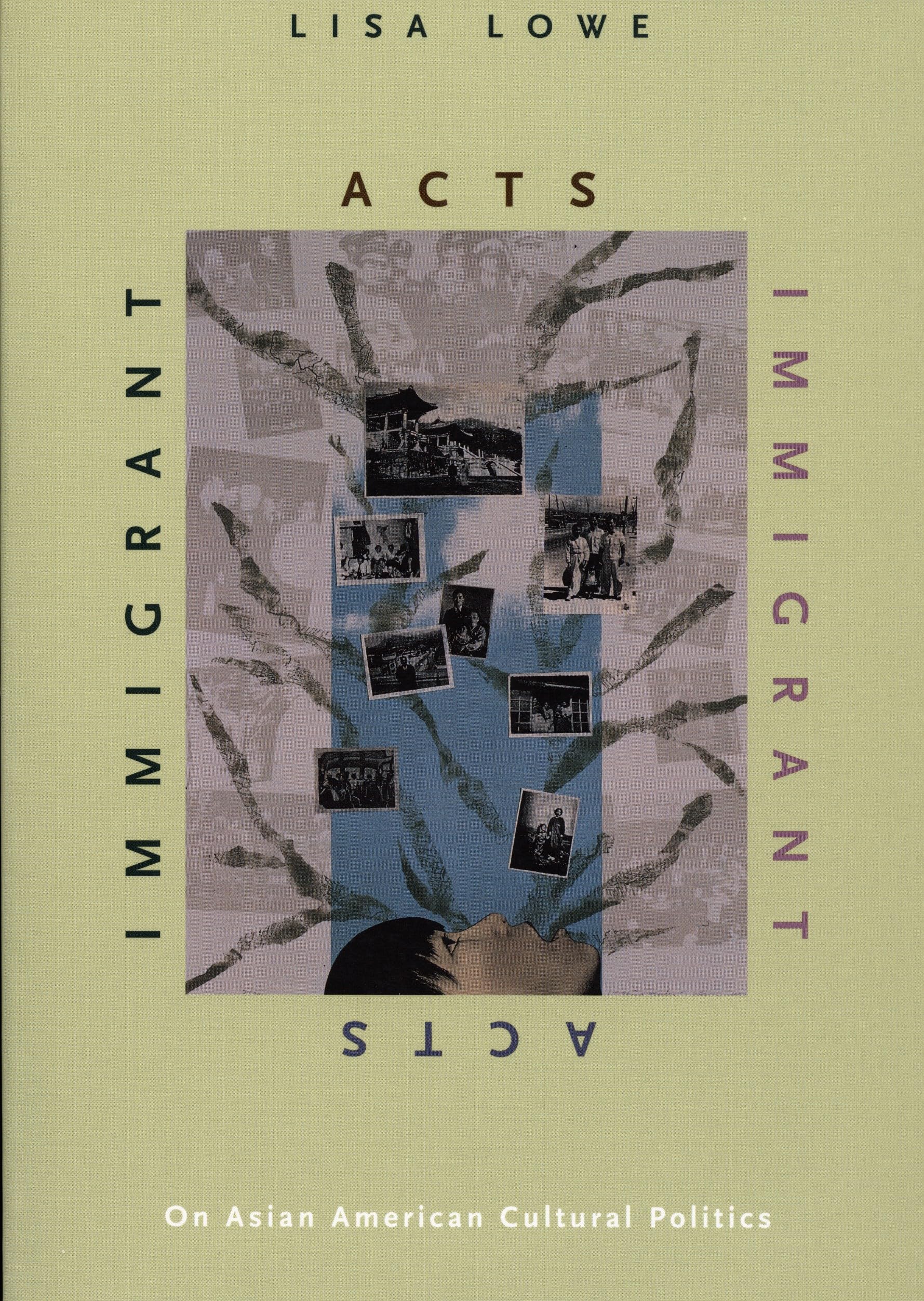 Immigrant Acts: On Asian American Cultural Politics book cover