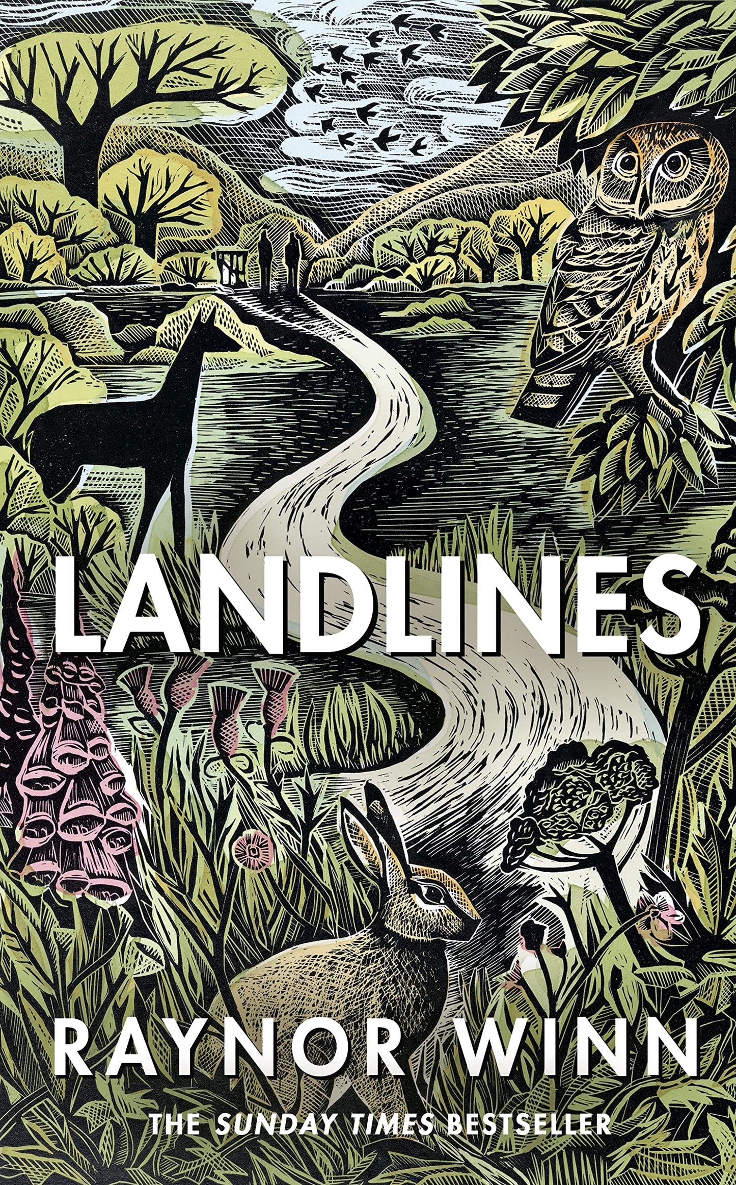 Landlines book cover