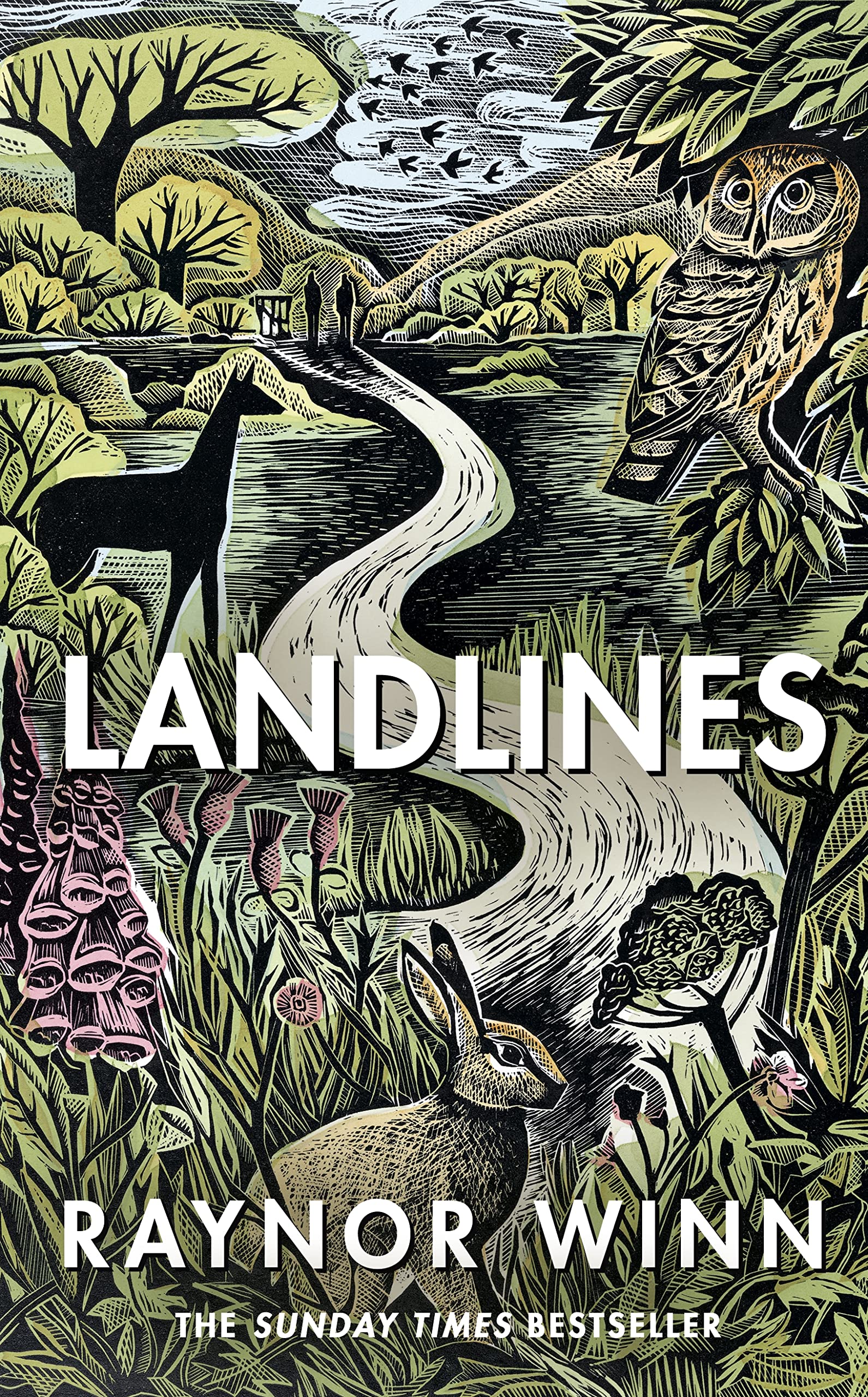 Landlines book cover