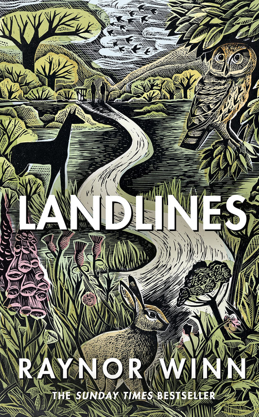 Landlines book cover
