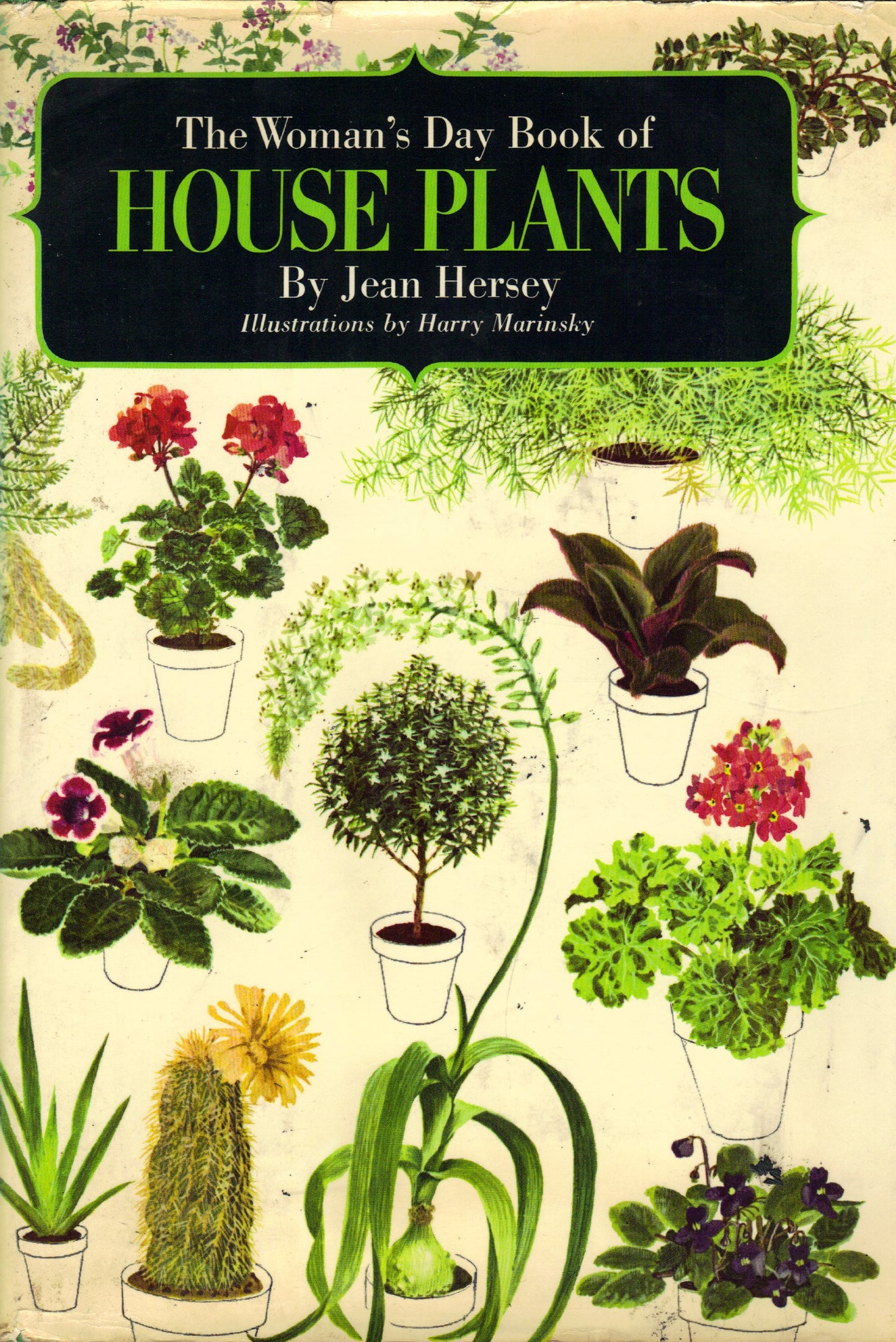 Woman's Day Book of House Plants