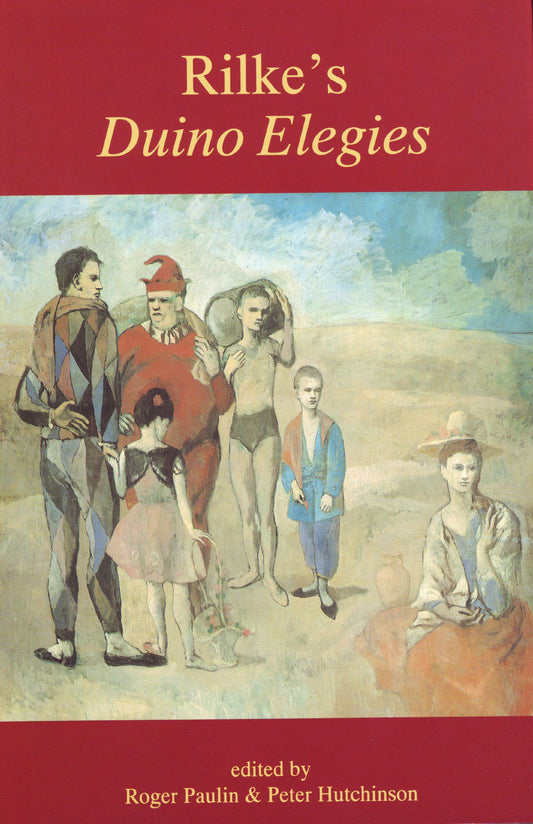Rilke's Duino Elegies: Cambridge Readings book cover