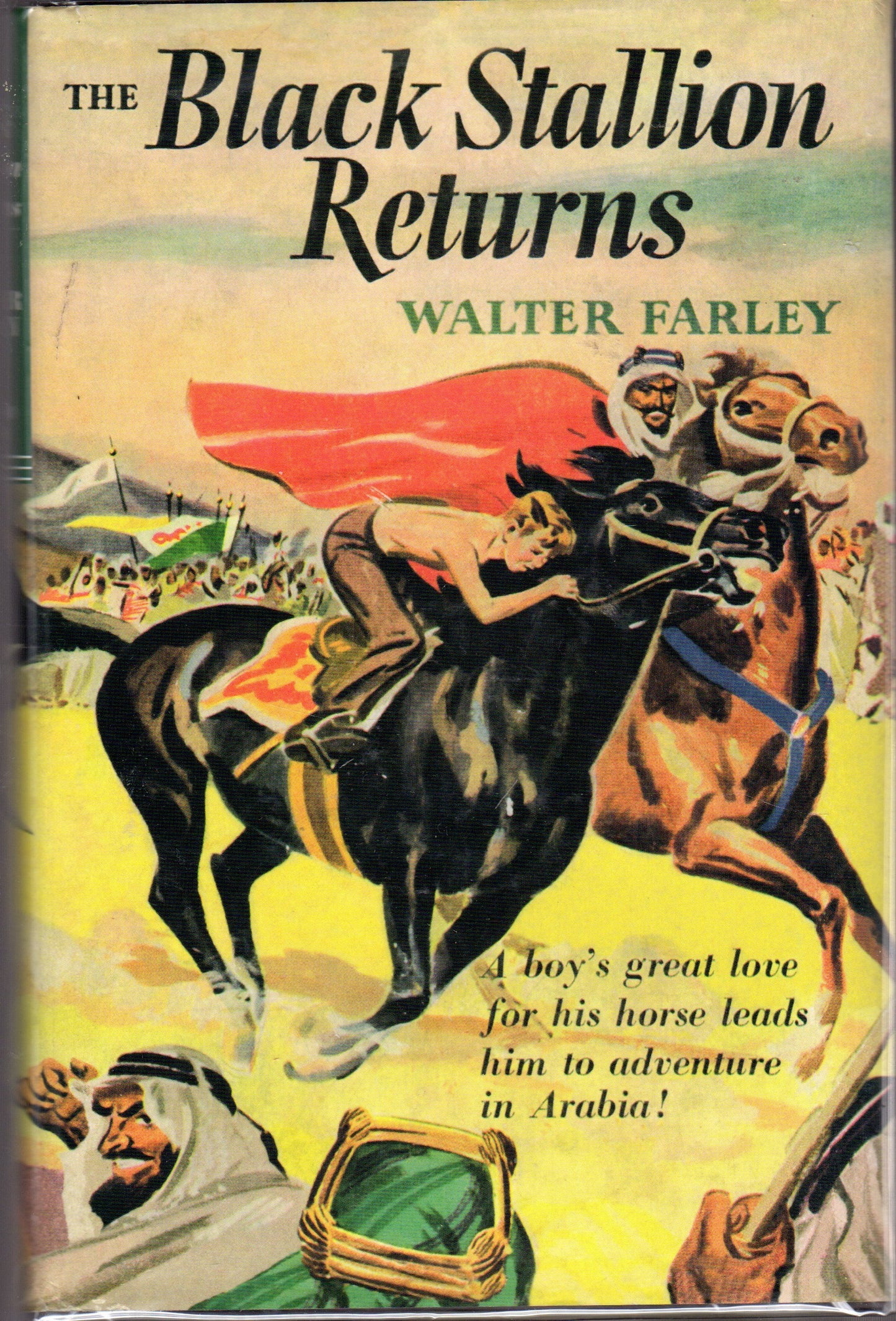 The Black Stallion Returns book cover