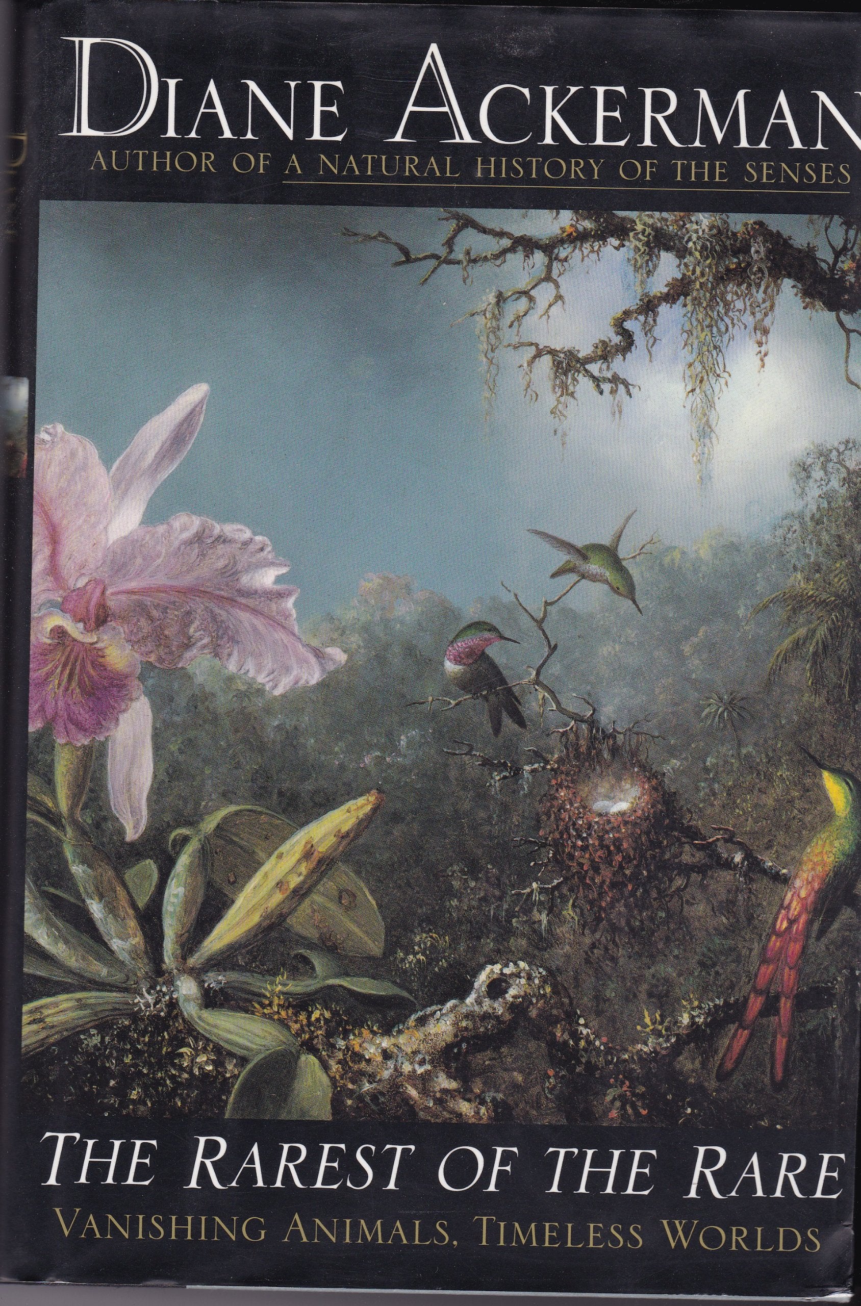Rarest of the Rare: Vanishing Animals, Timeless Worlds book cover