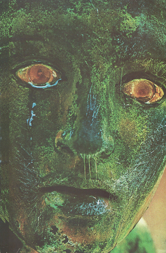 Puer Papers book cover