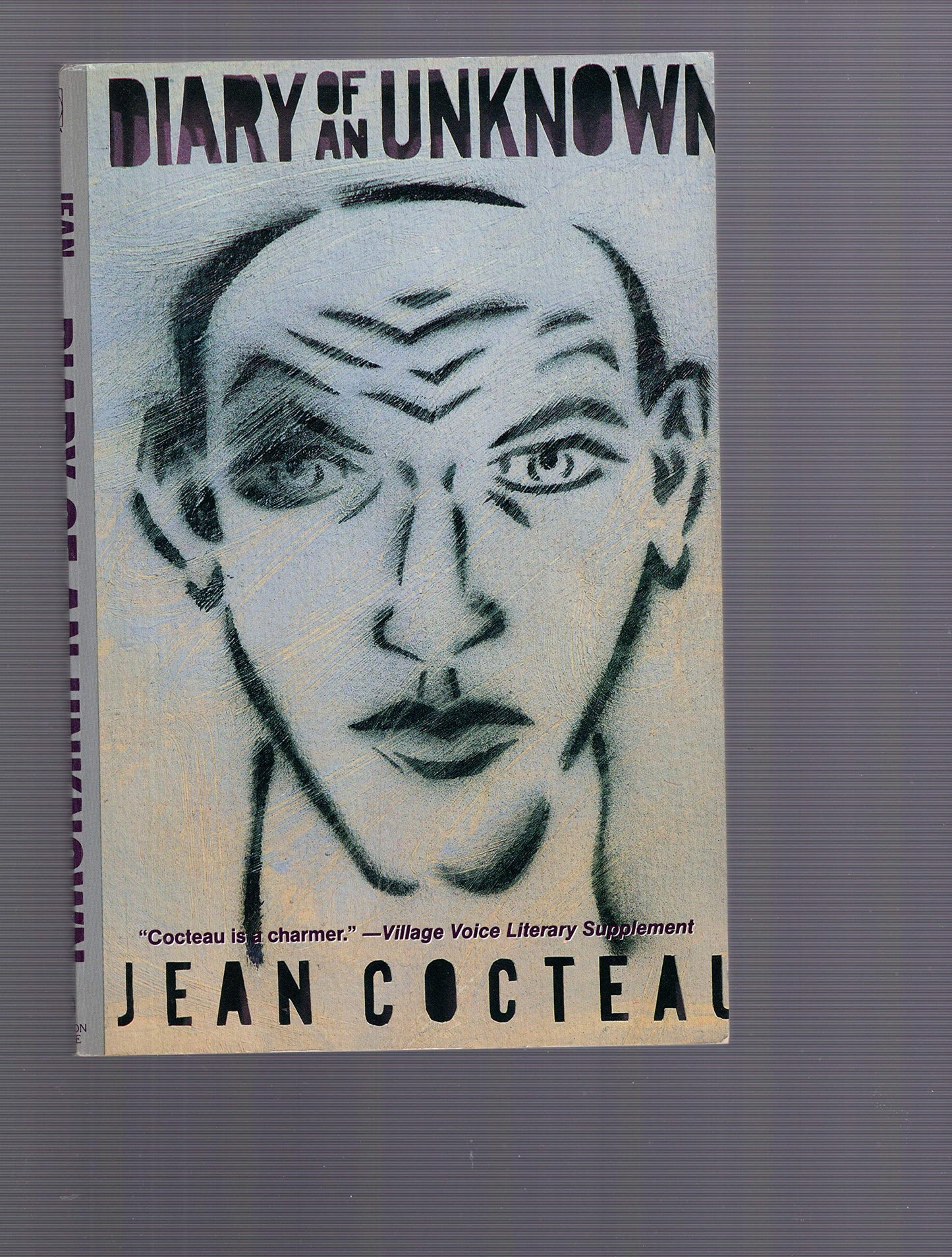 Diary of an Unknown (Pbk) book cover