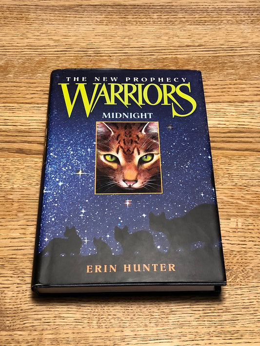 Midnight book cover