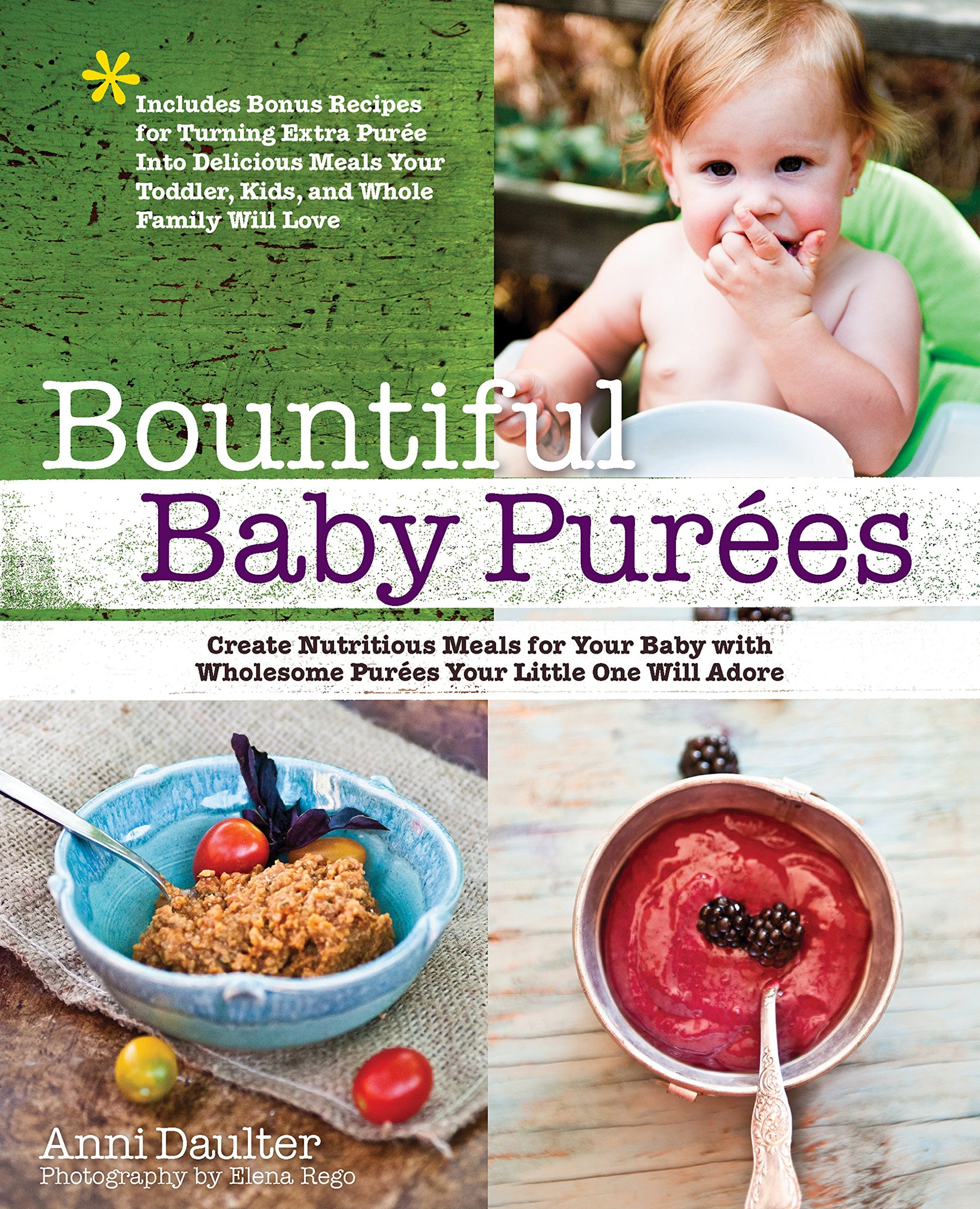 Bountiful Baby Purees: Create Nutritious Meals for Your Baby with Wholesome Purees Your Little One Will Adore book cover