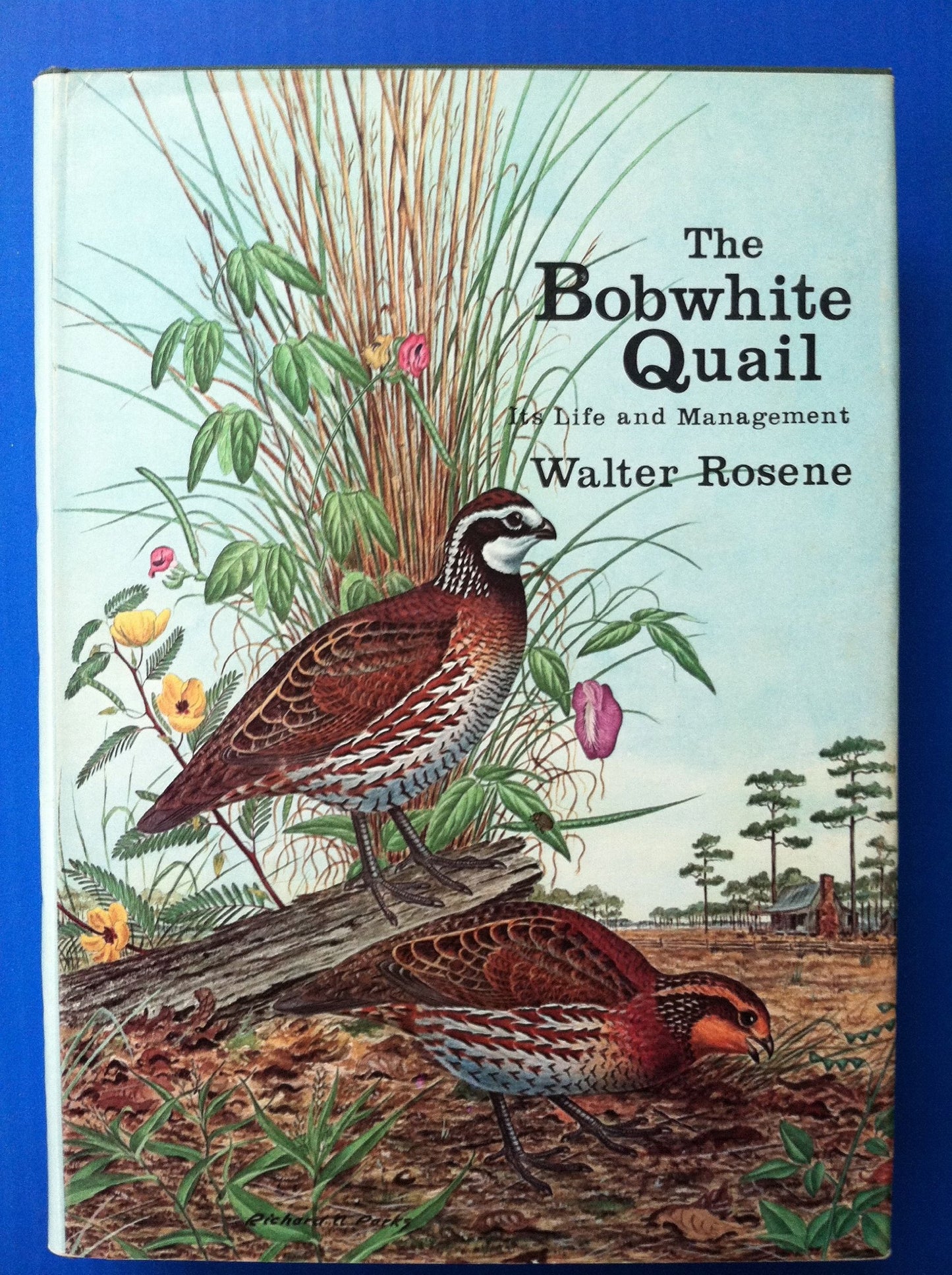 Bobwhite Quail, Its Life and Management