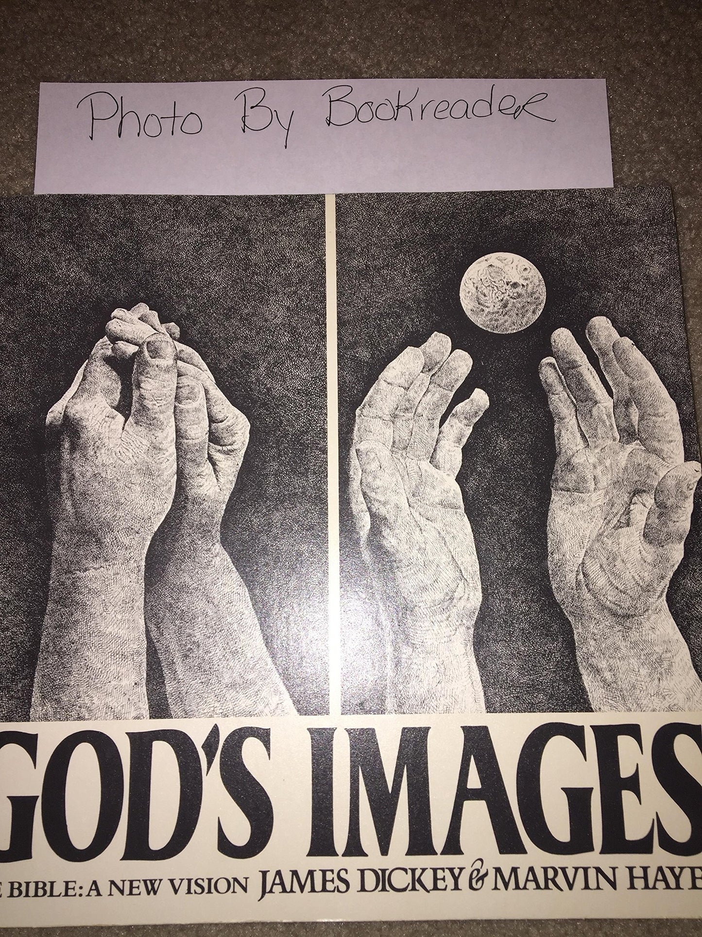 God's Images: The Bible, A New Vision book cover