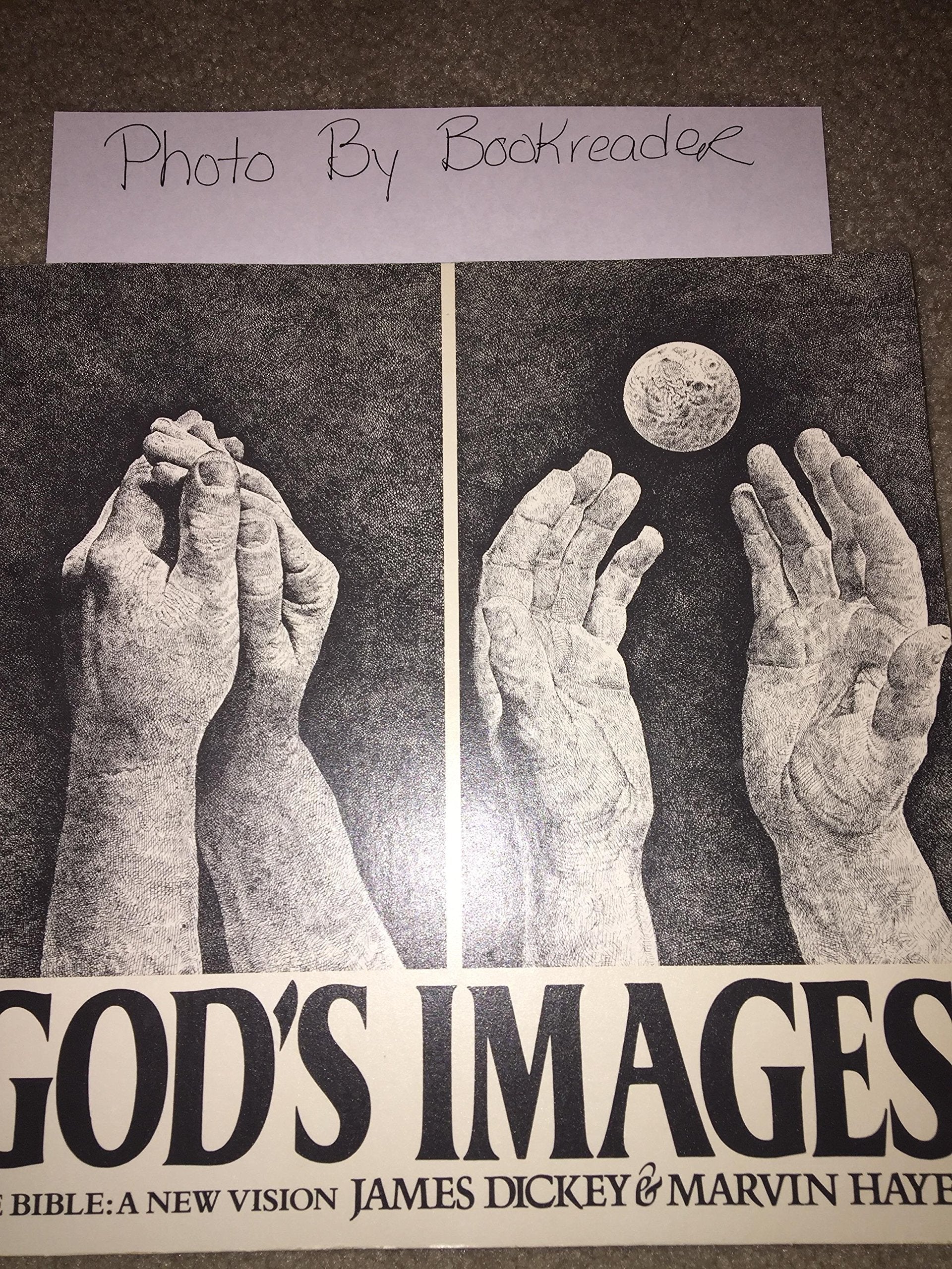 God's Images: The Bible, A New Vision book cover