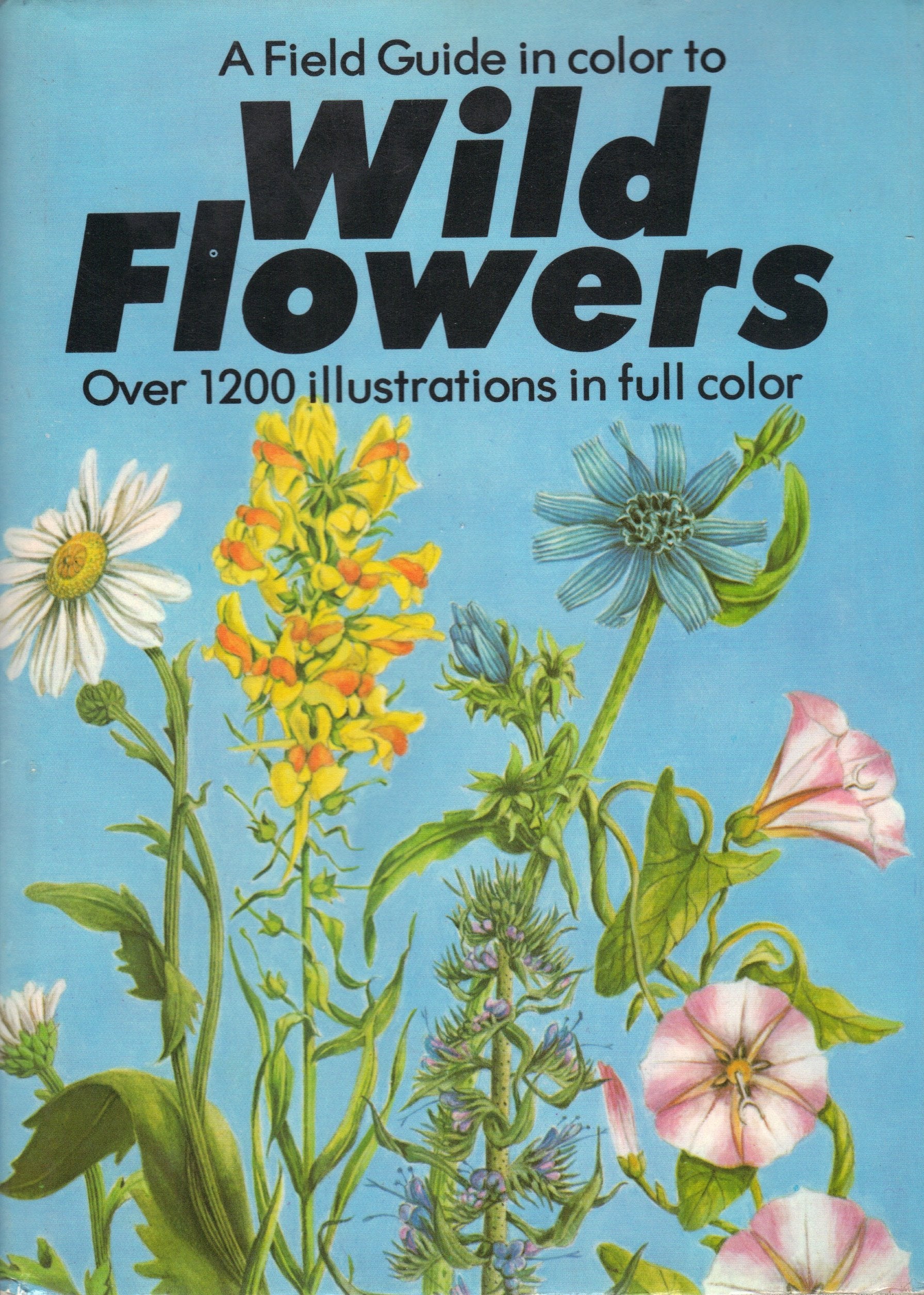 Field Guide in Color to Wild Flowers book cover