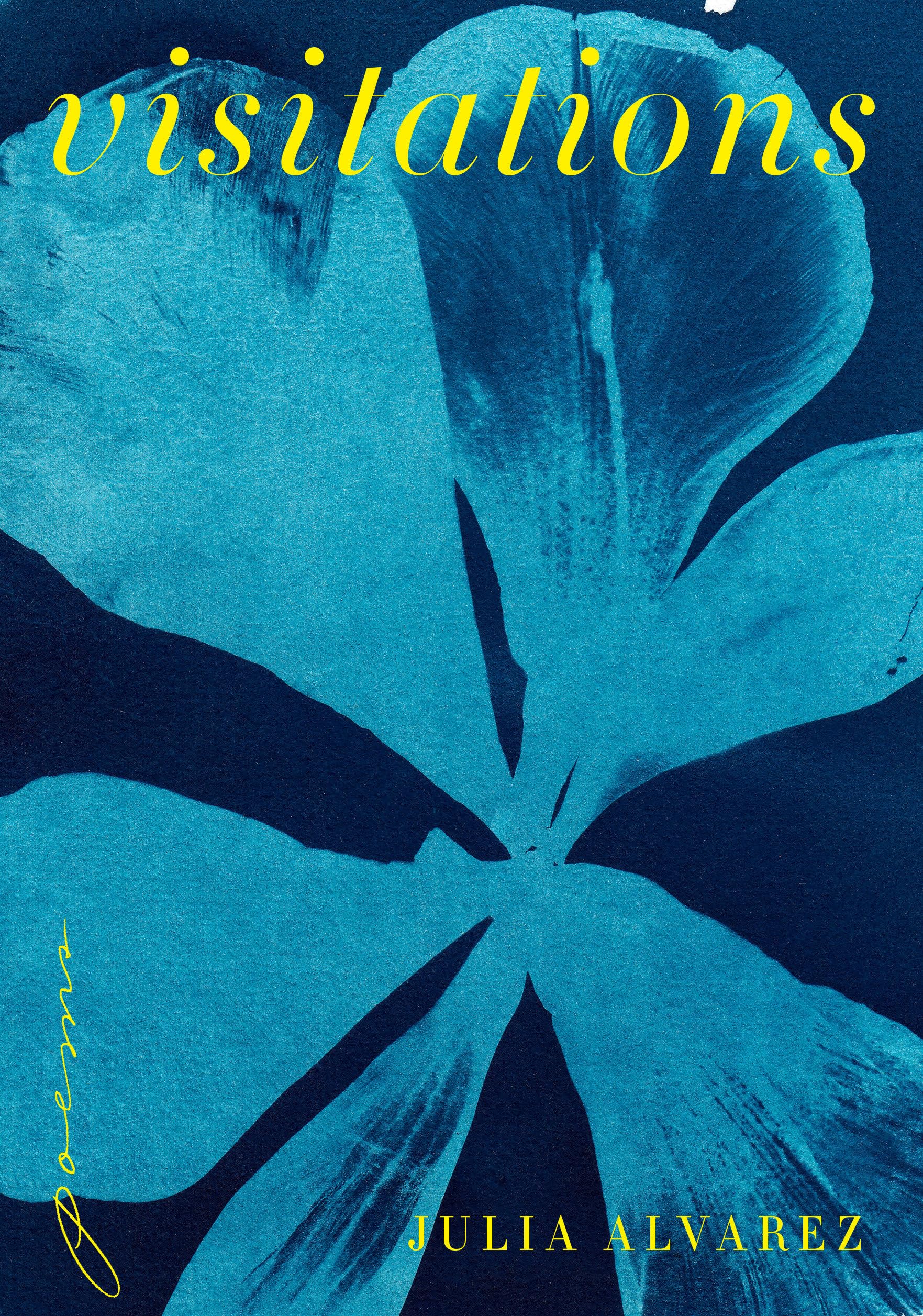 Visitations book cover