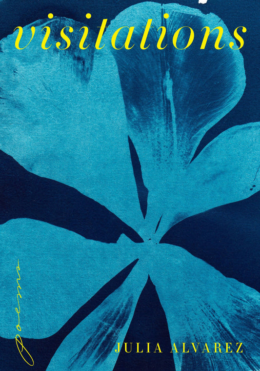 Visitations book cover