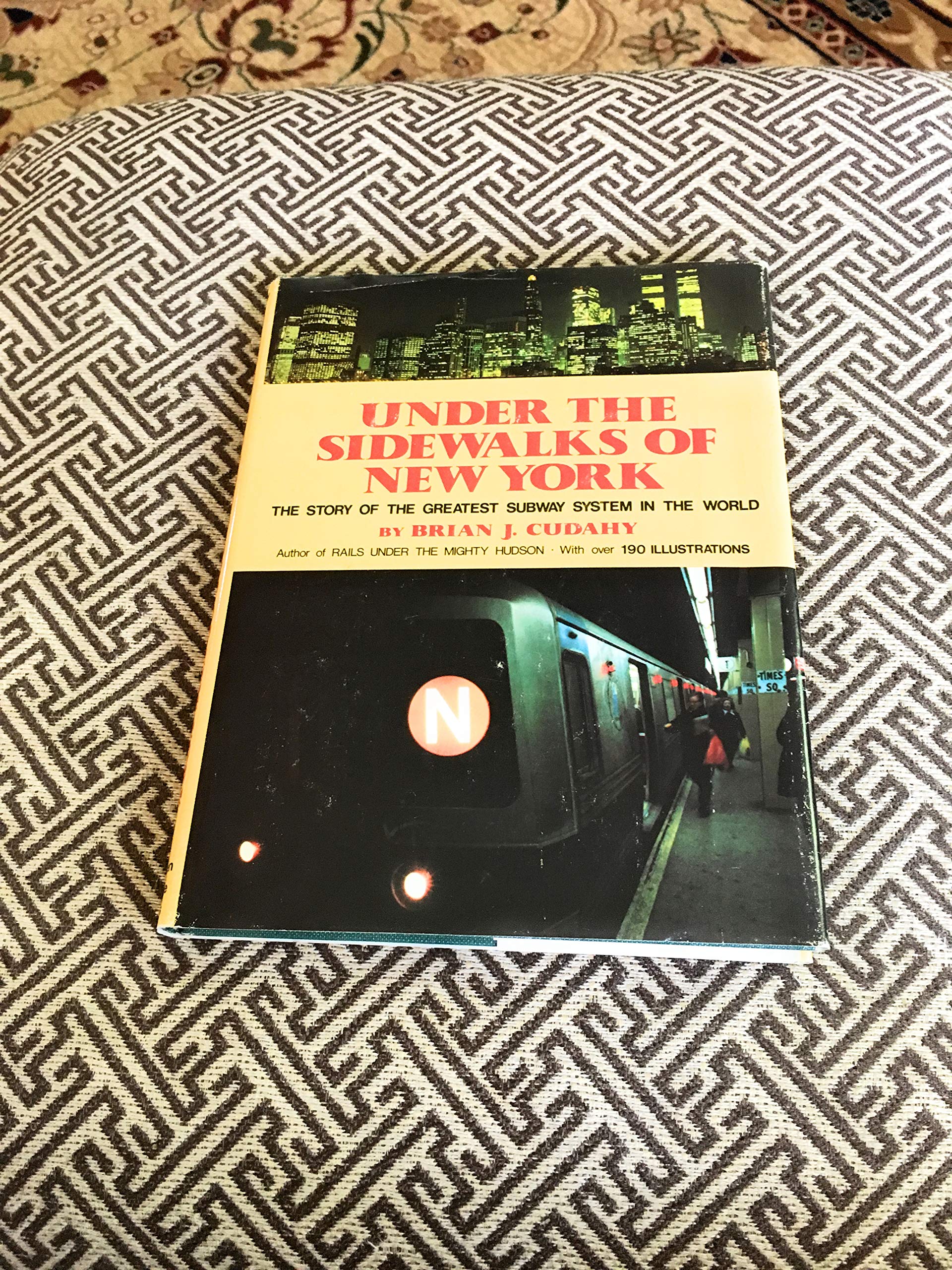 Under the Sidewalks of New York book cover