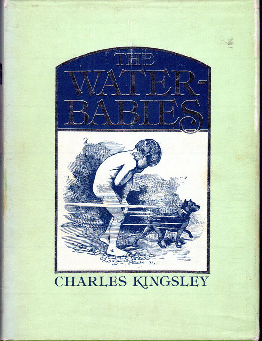 The Water Babies book cover