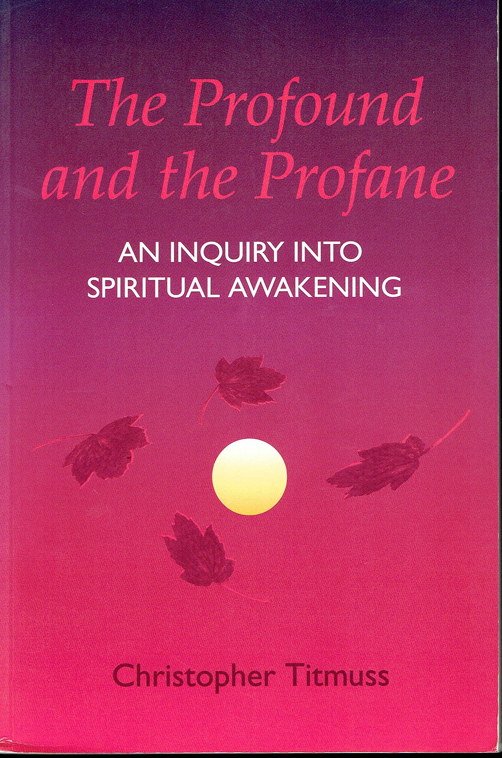 The Profound and the Profane: An Inquiry into Spiritual Awakening book cover