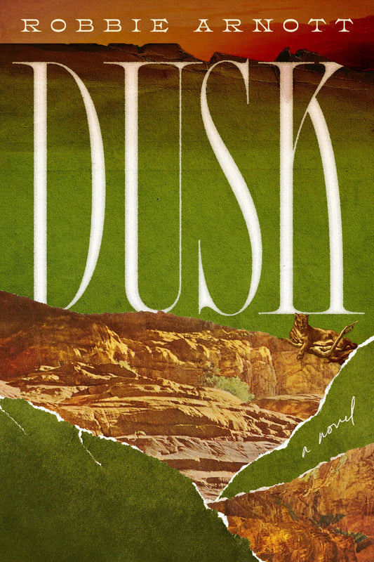 Dusk book cover