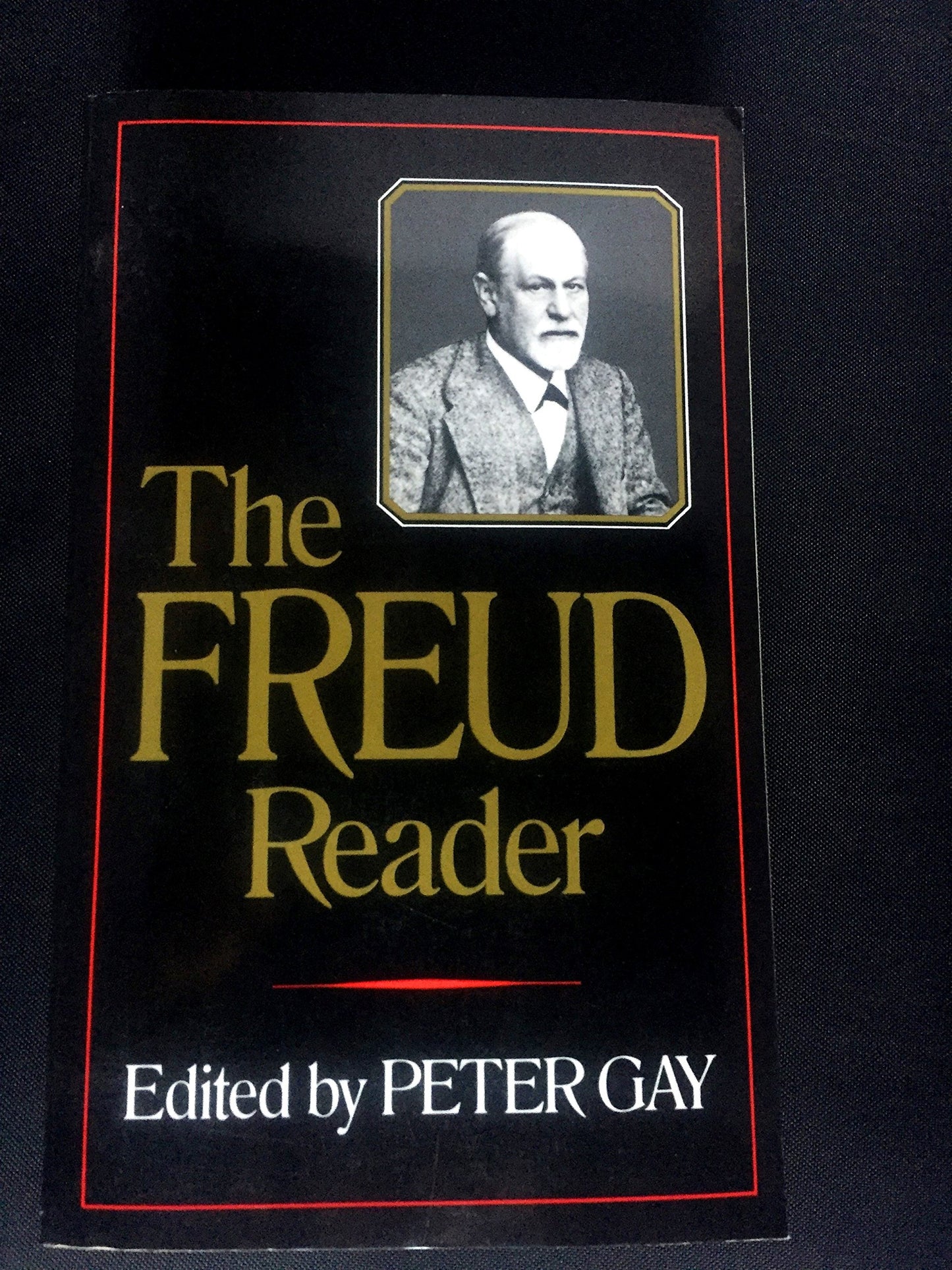 Freud Reader book cover